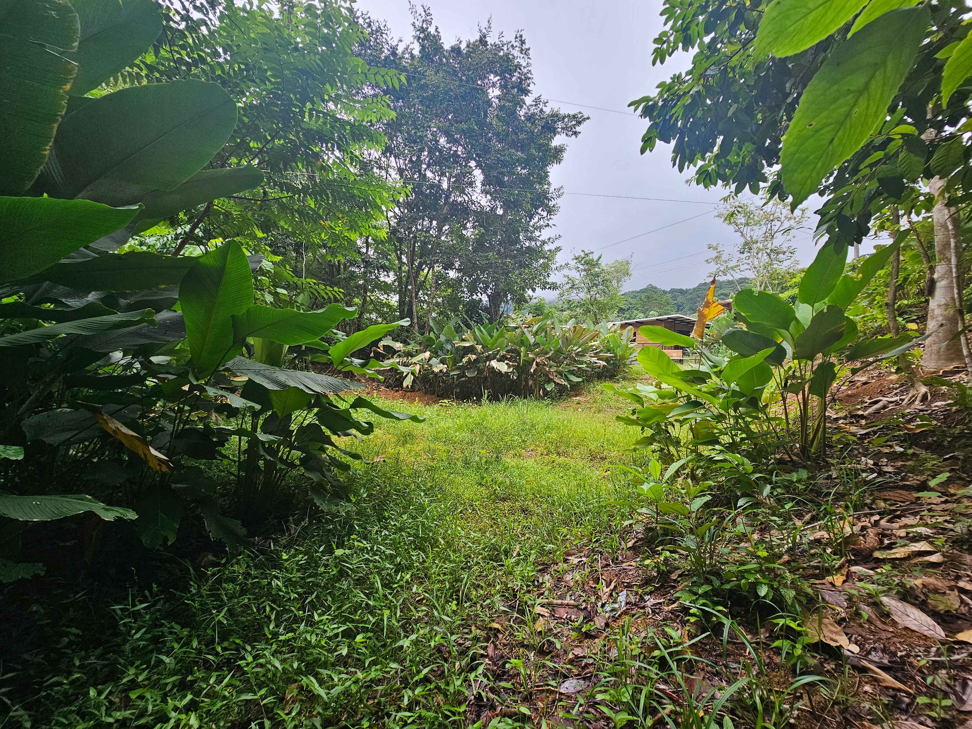 Discover Your Dream in Uvita's Prime Real Estate