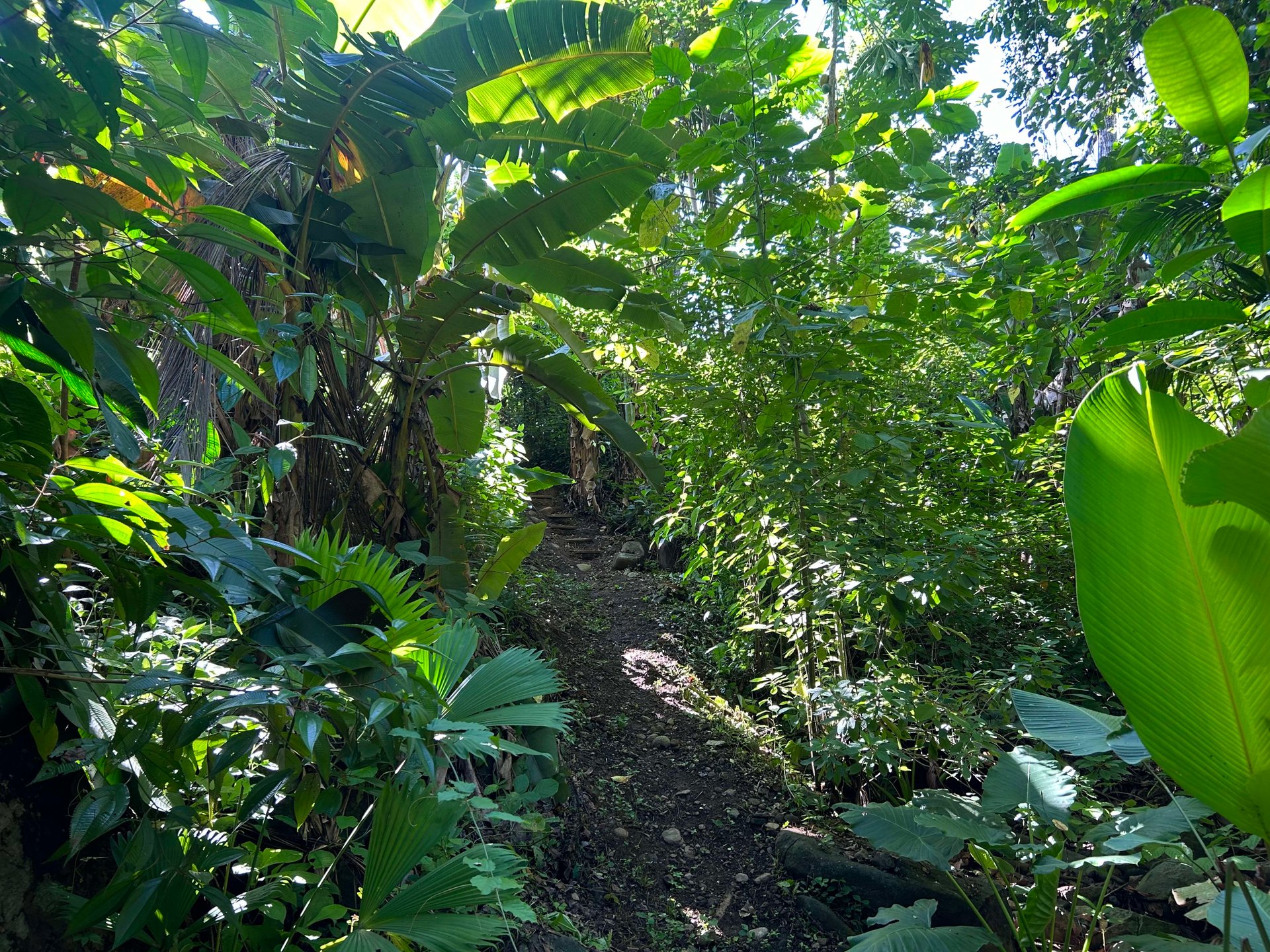 Surfer's Dream in Ojochal; 3 Bedrooms, 2 Bathrooms with Pool and River Access
