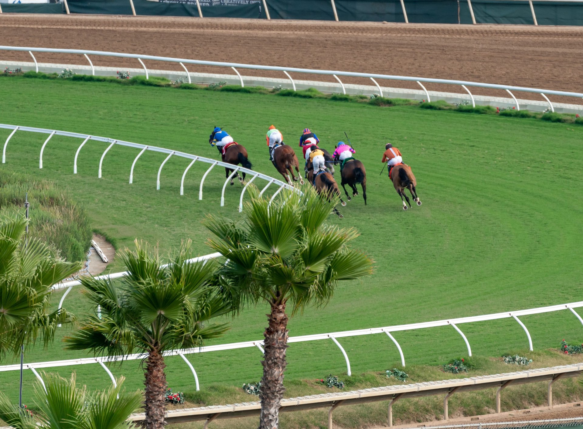 Where The Turf Meets The Surf