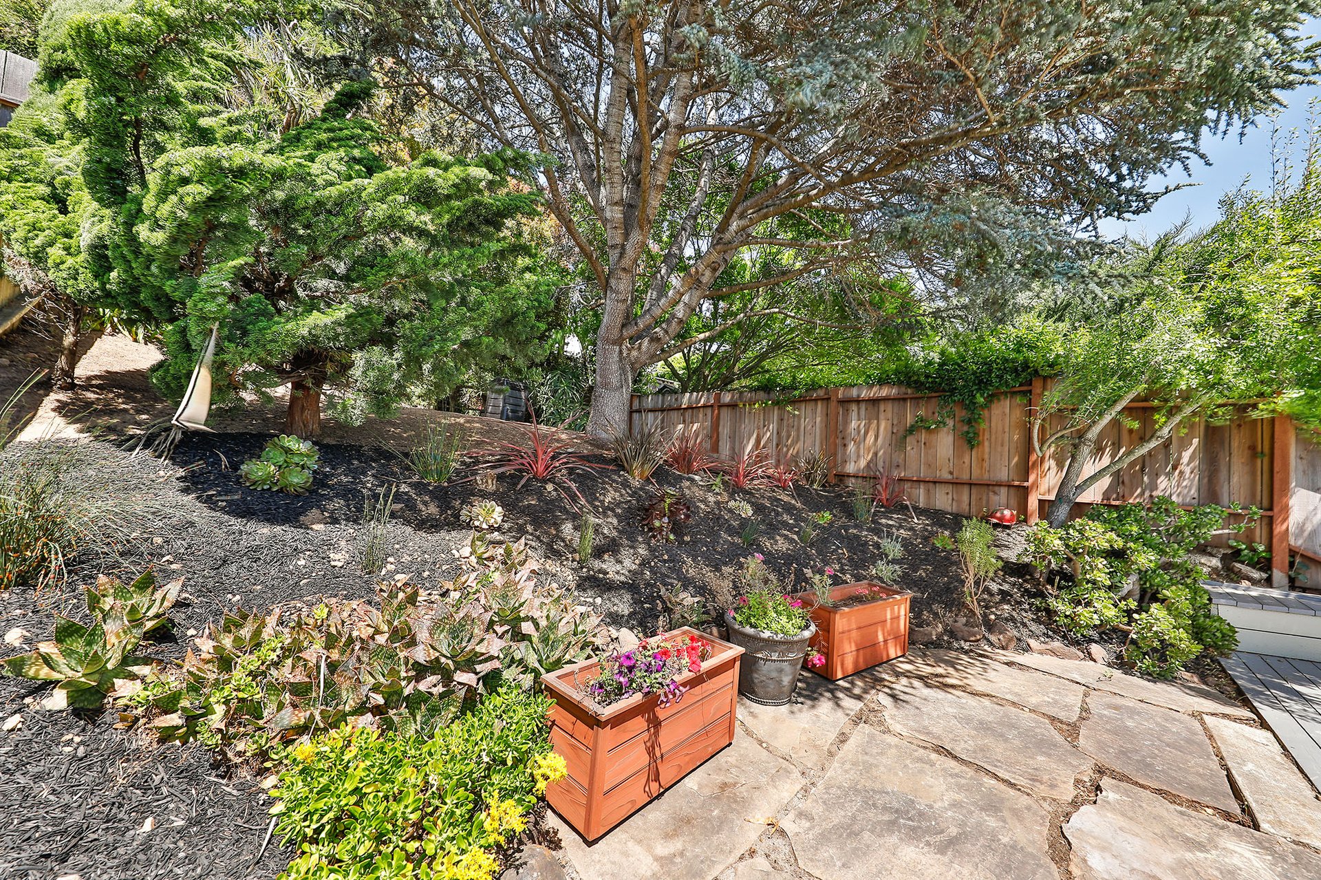 482 Alvarado Street
