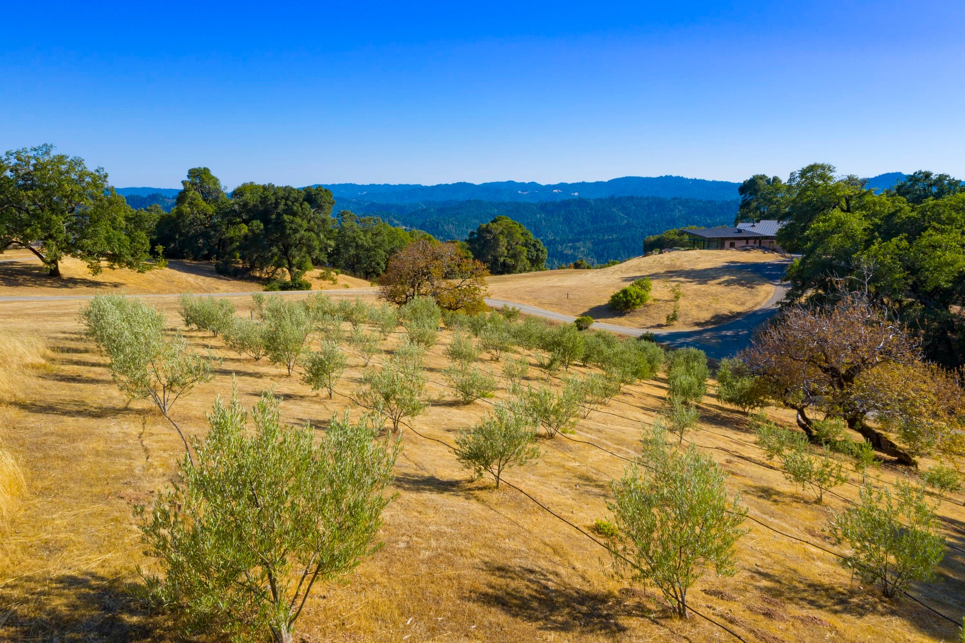 Modern Anderson Valley Enclave