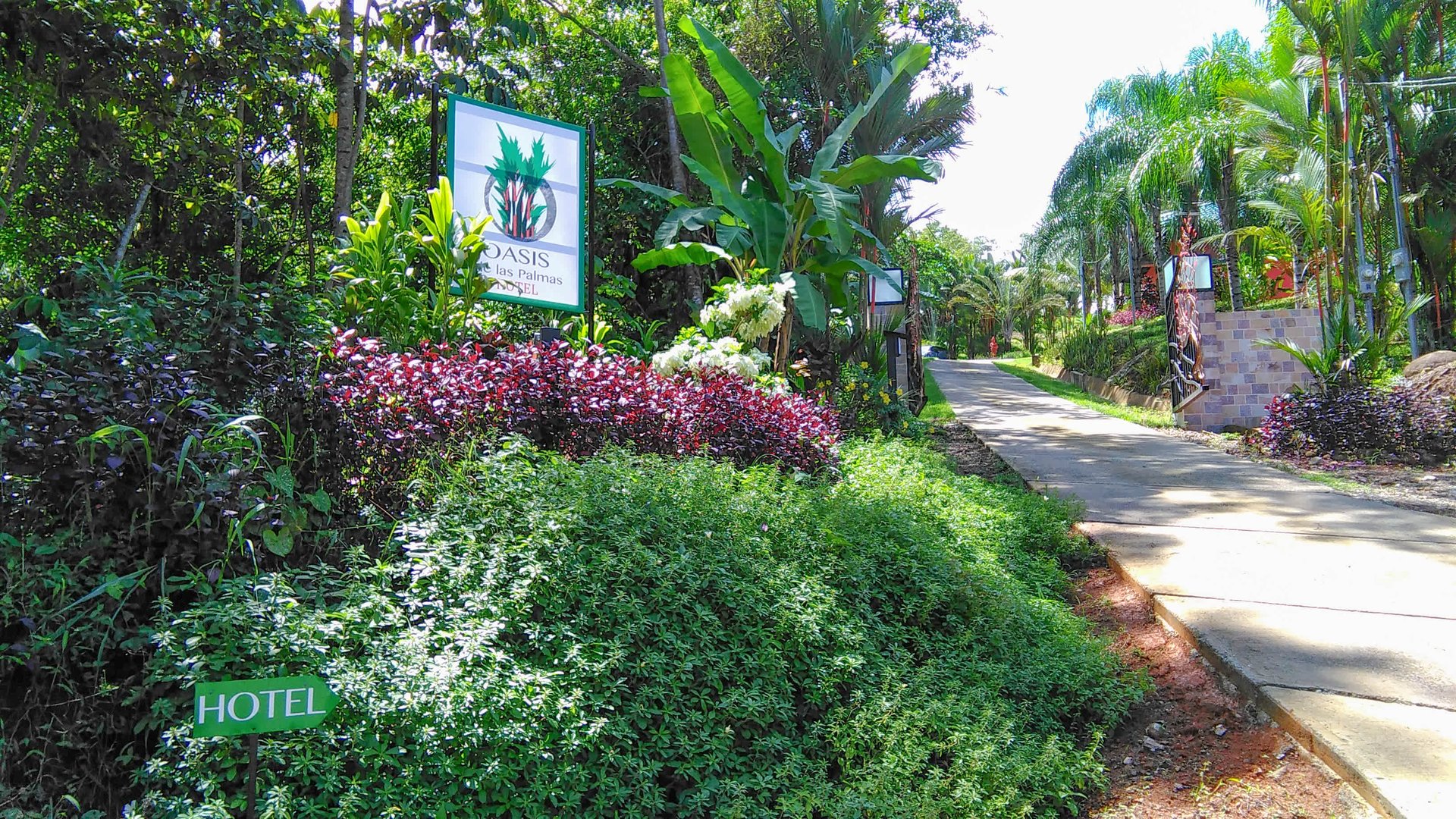3 Cabins, A restaurant, A 3 Bed House And Multiple Plantels In The Heart Of Ojochal