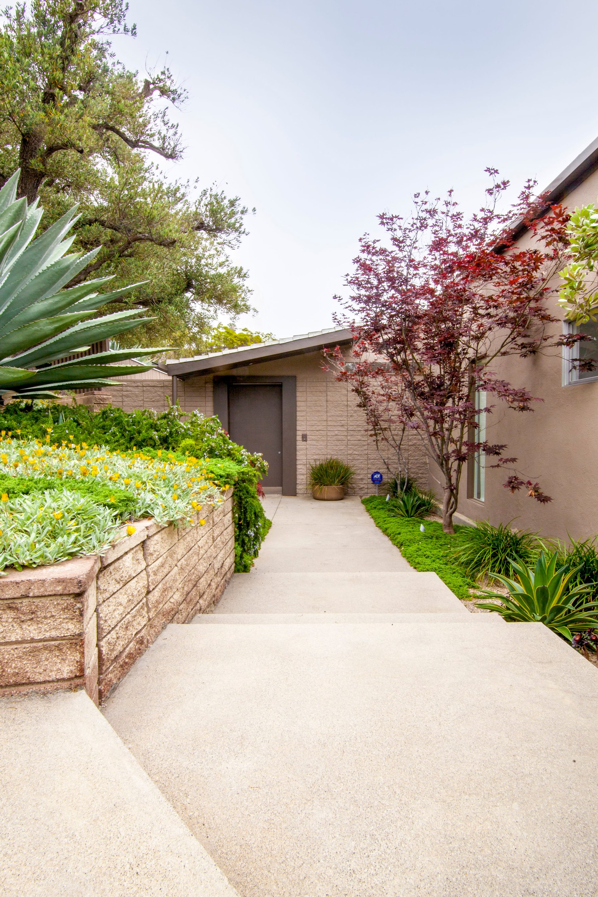 250 Trino Way