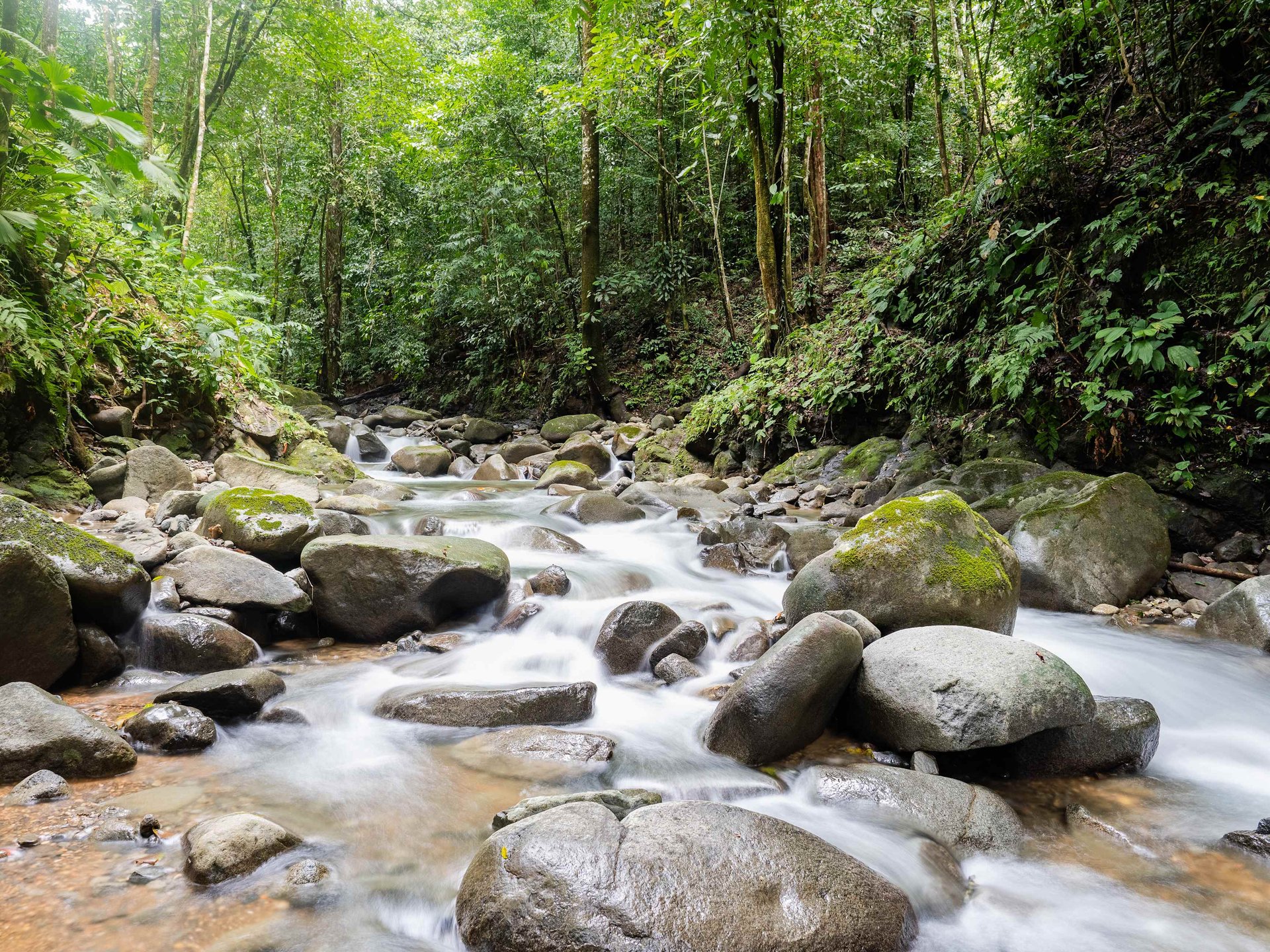 2-Bedroom Jungle Home with River, Waterfall & Pool on 3.8 Acres in Ojochal, Costa Rica