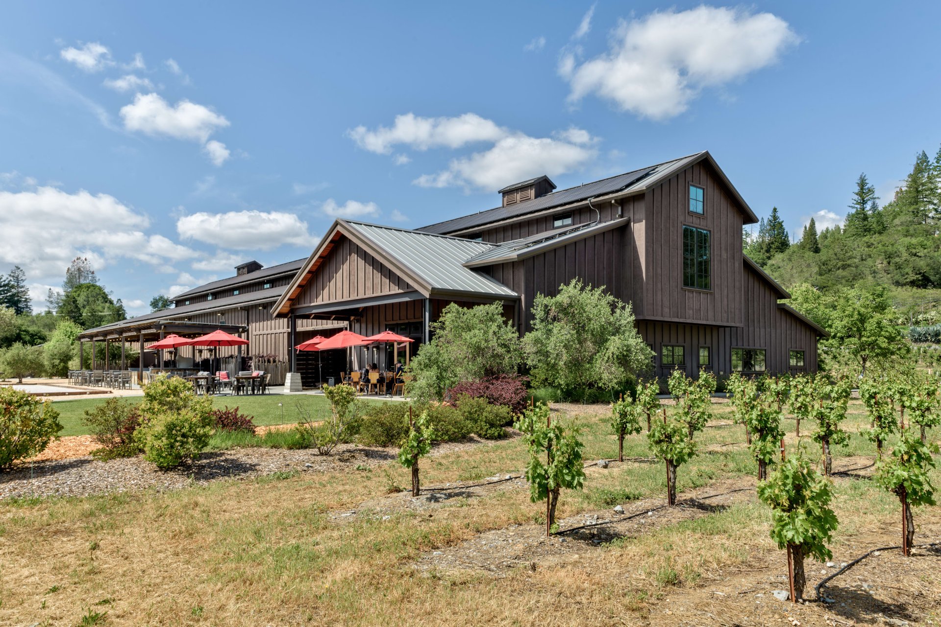Dry Creek Valley -Production Facility, Tasting Room, & Guest Estate Residence 