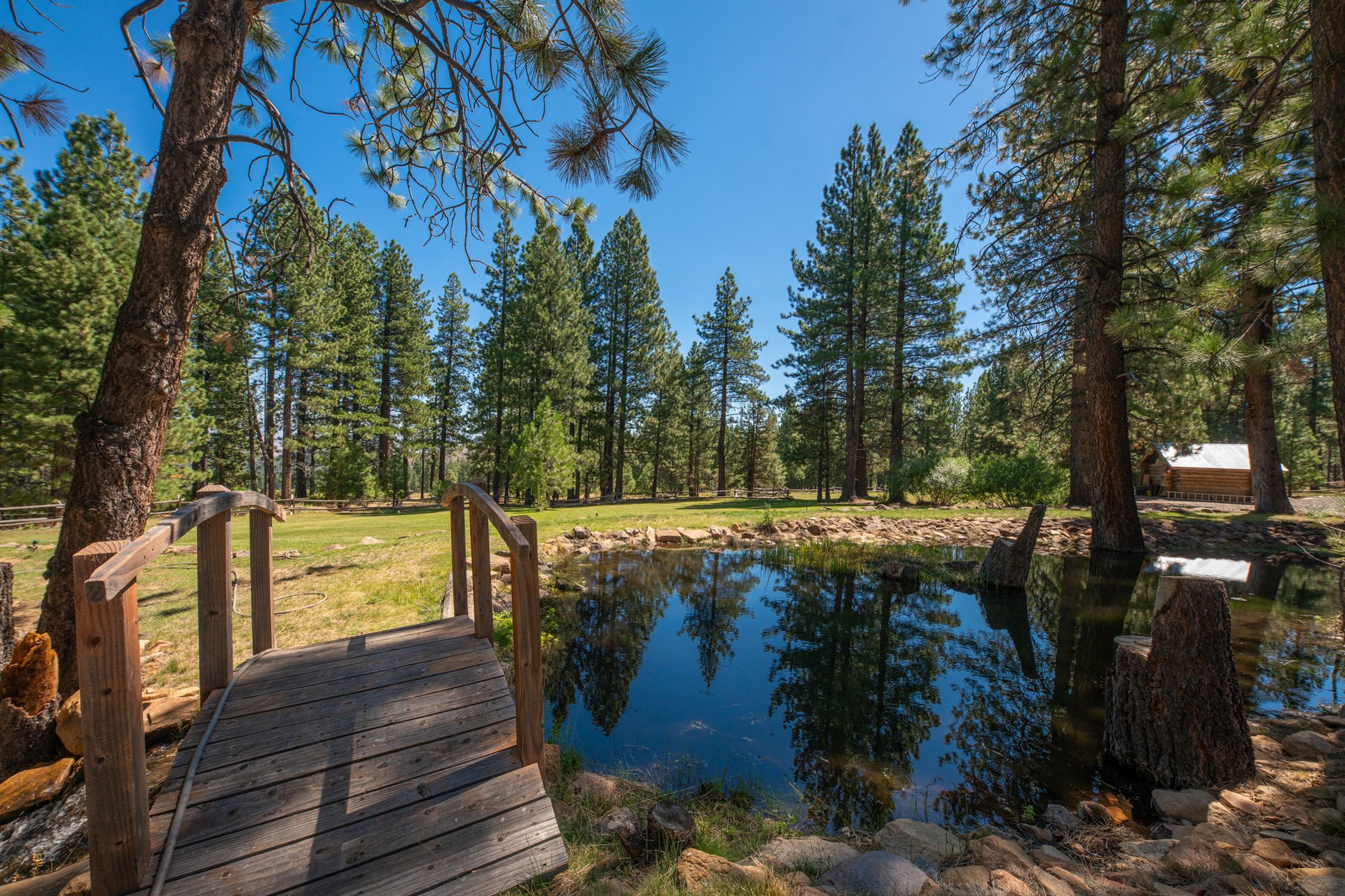 Randall Springs Ranch