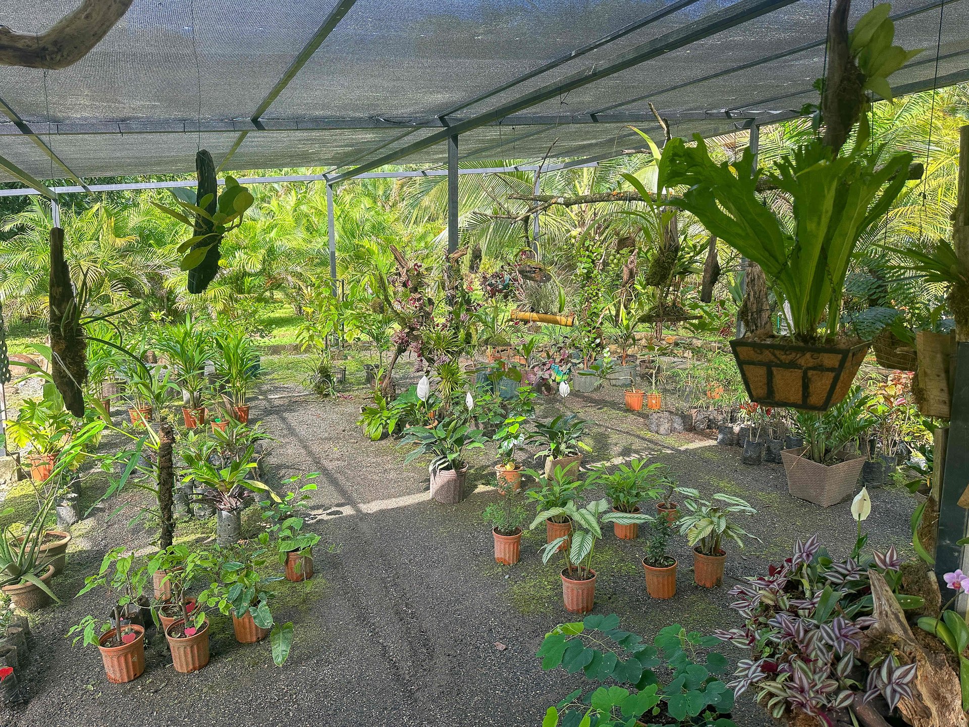 2-Bedroom Jungle Home with River, Waterfall & Pool on 3.8 Acres in Ojochal, Costa Rica
