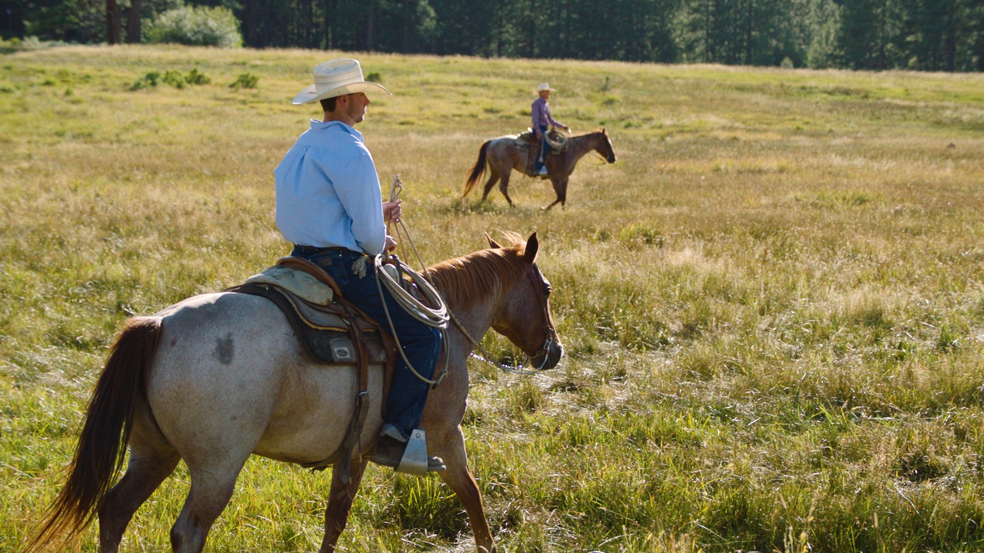 Randall Springs Ranch