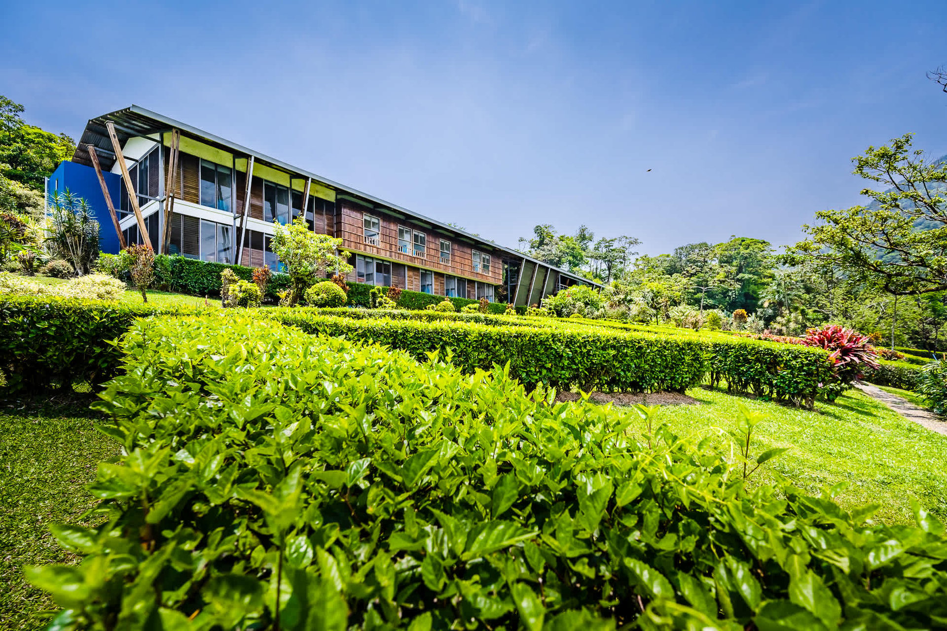 Celeste Mountain Lodge | Mountain Hotel/Resort/Hostel For Sale!
