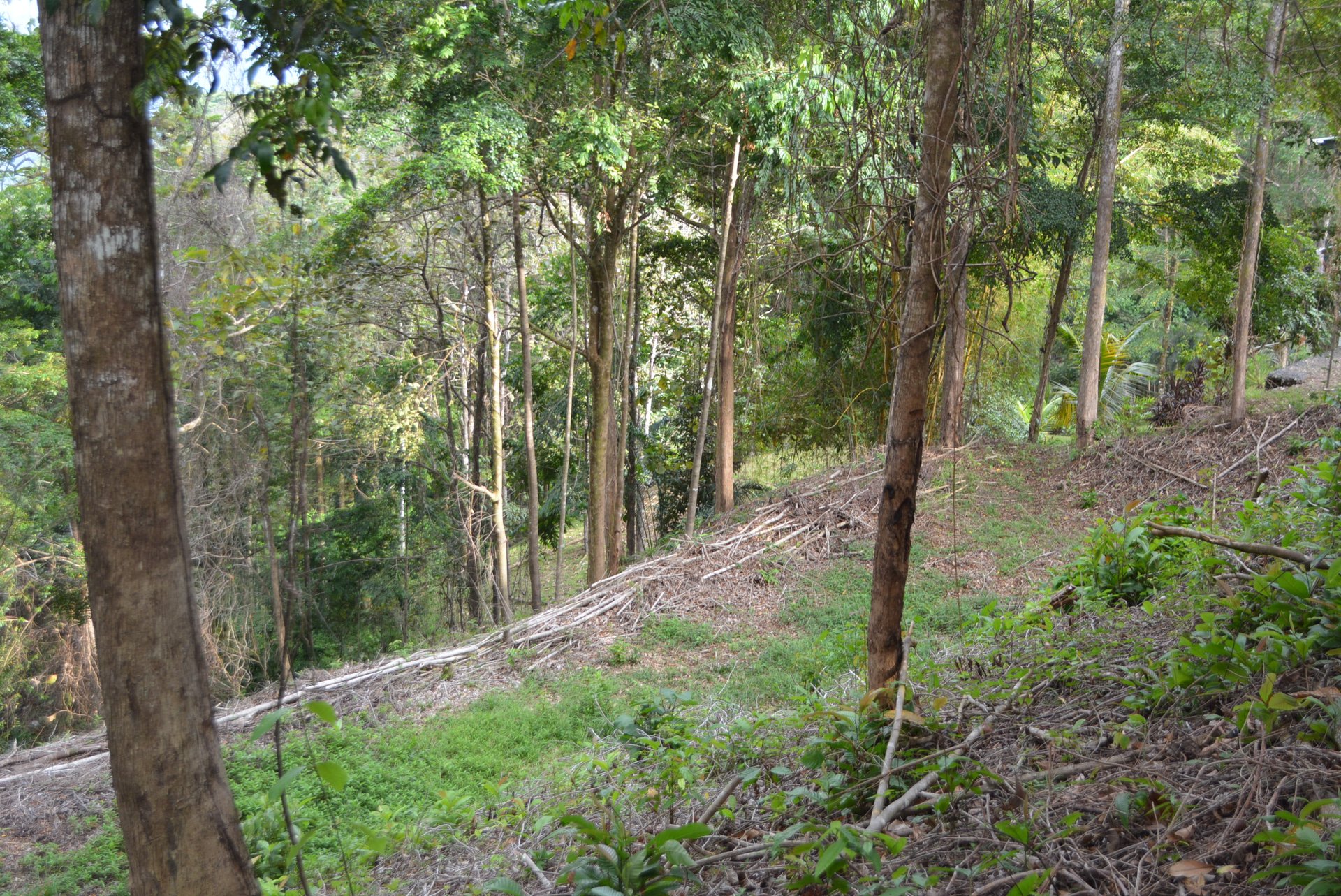 Lagunas 5 Lots 1 Acre+ Lagunas/Dominical
