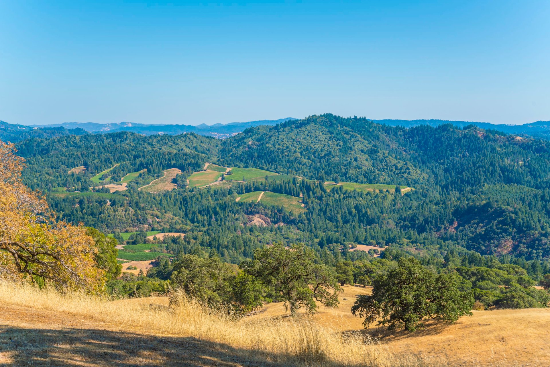 Modern Anderson Valley Enclave