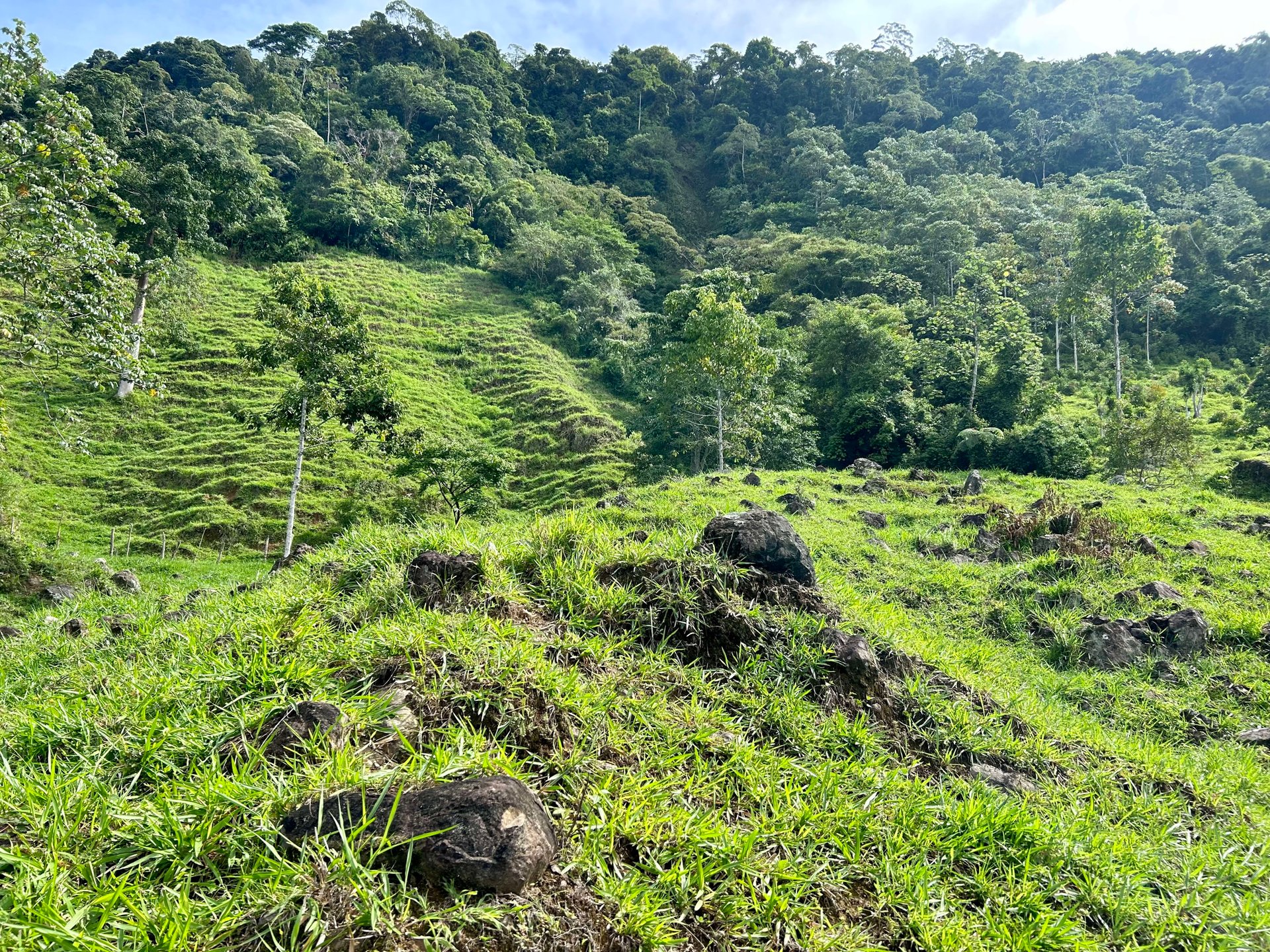FIRE SALE!! Ocean View Farm in San Luis de Morete, Over 23 Acres