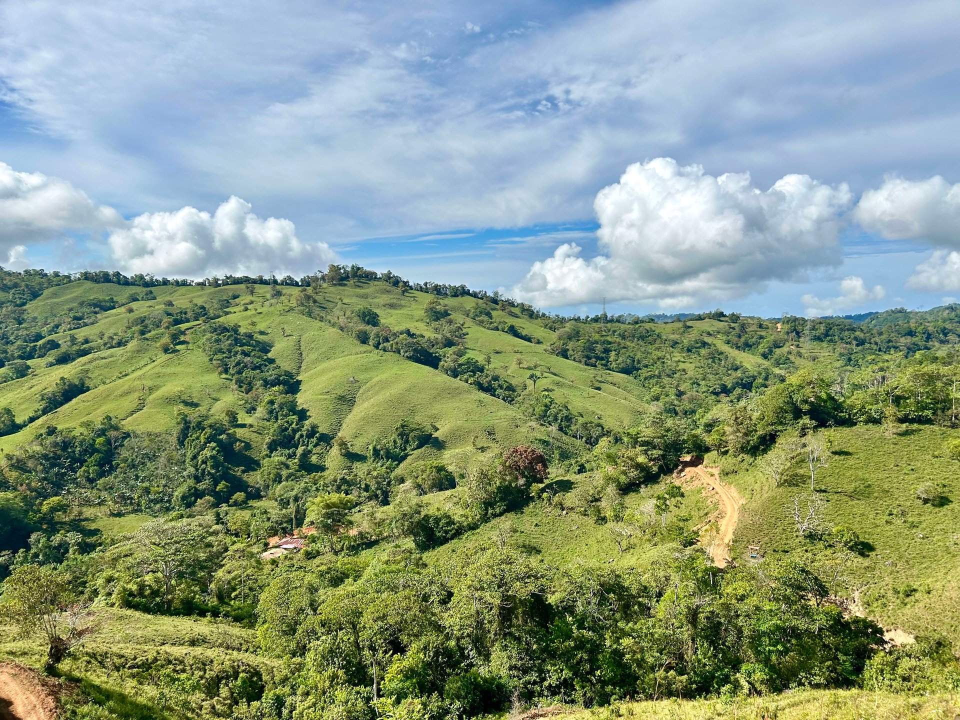 49 Acres Development Farm in San Luis with two Existing Homes 