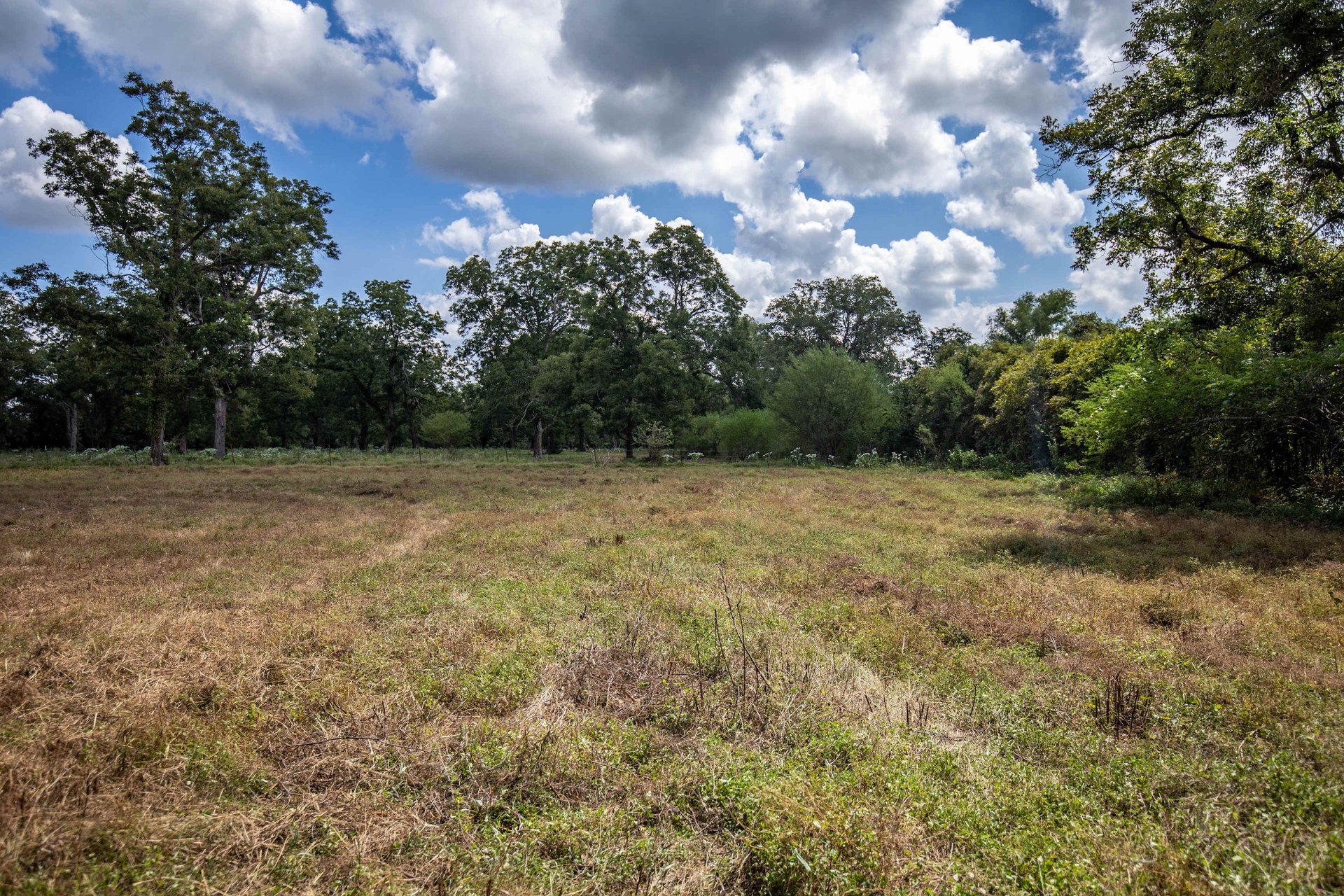 Lovers Lane River Ranch | 140± Acres | DeWitt County