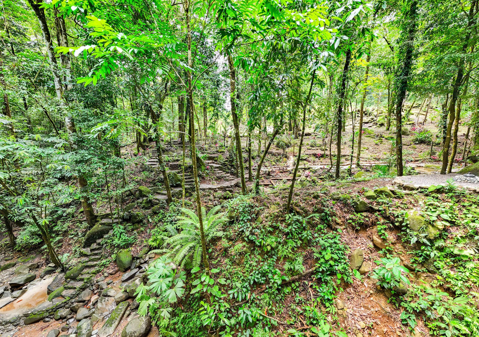 2-Bedroom Jungle Home with River, Waterfall & Pool on 3.8 Acres in Ojochal, Costa Rica