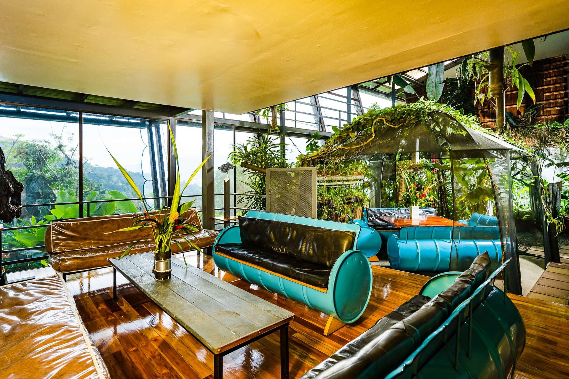 Celeste Mountain Lodge | Mountain Hotel/Resort/Hostel For Sale!