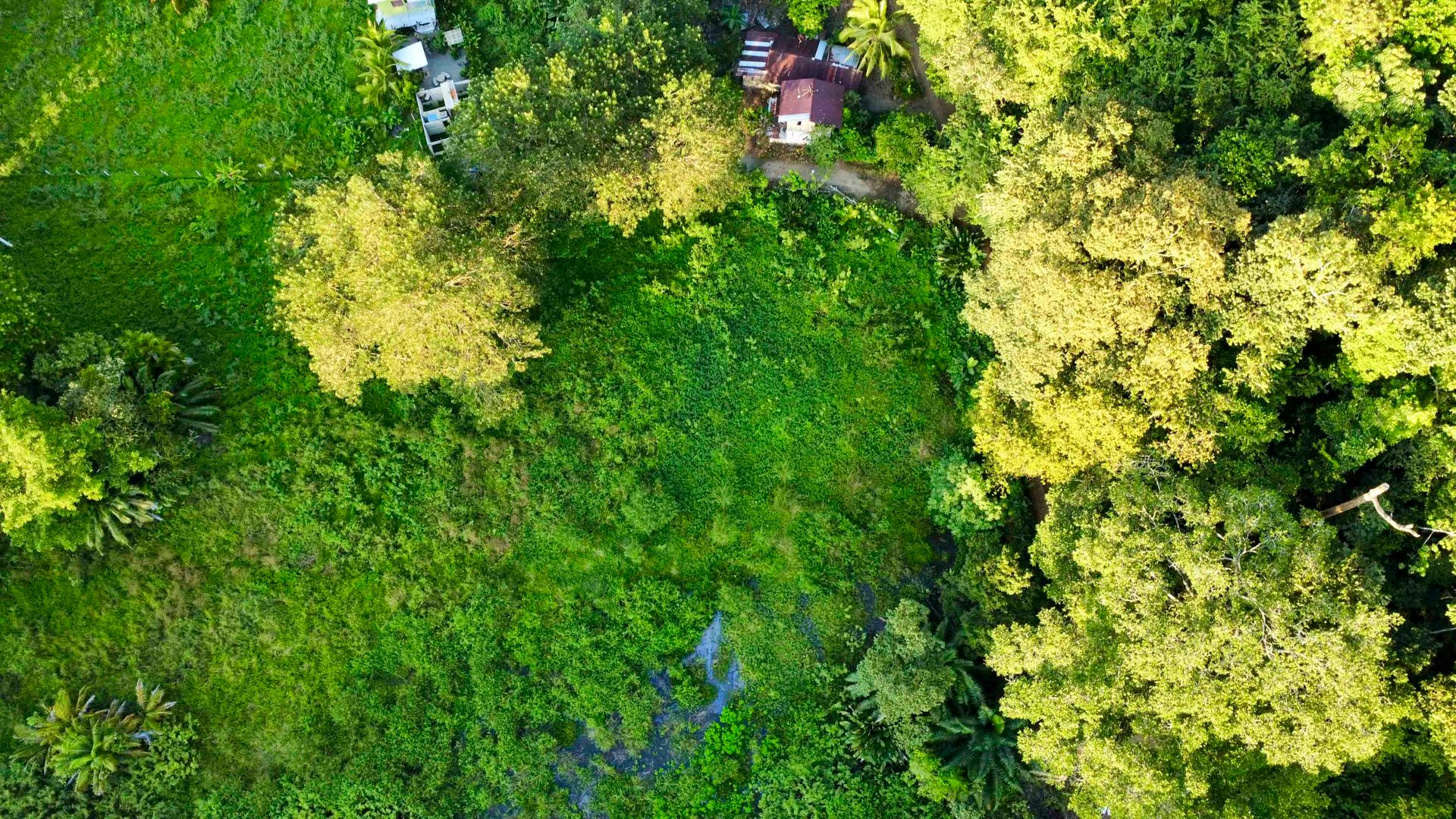 🔥 Unmatched Deal: Closest Titled Property to the Beach in Uvita at only $40/m²!!