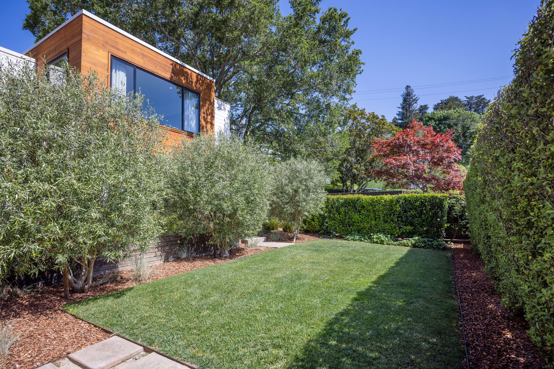 Downtown Mill Valley Contemporary Masterpiece