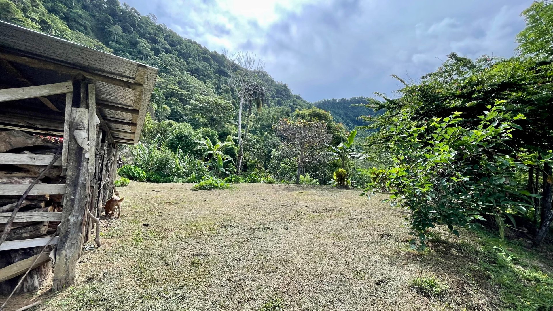 FIRE SALE!! Ocean View Farm in San Luis de Morete, Over 23 Acres