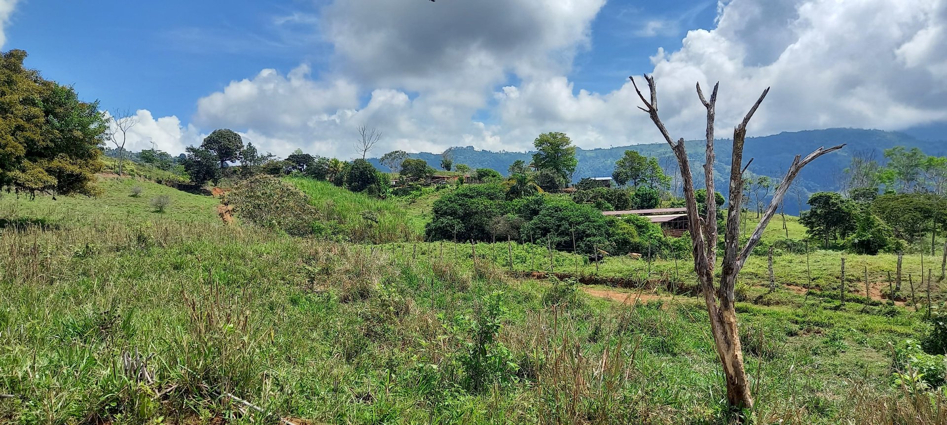 16.7 Acres At 3000 Feet, Fresh Air, Cano Island, Blue Pacific Views 