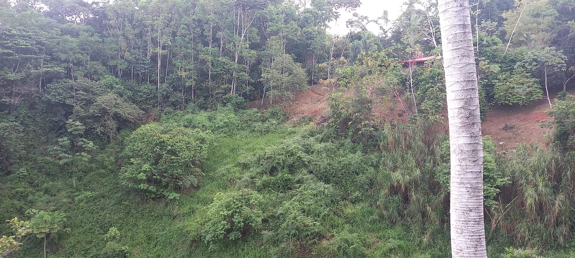 7.6 Acres Calle Camaron Platanillo