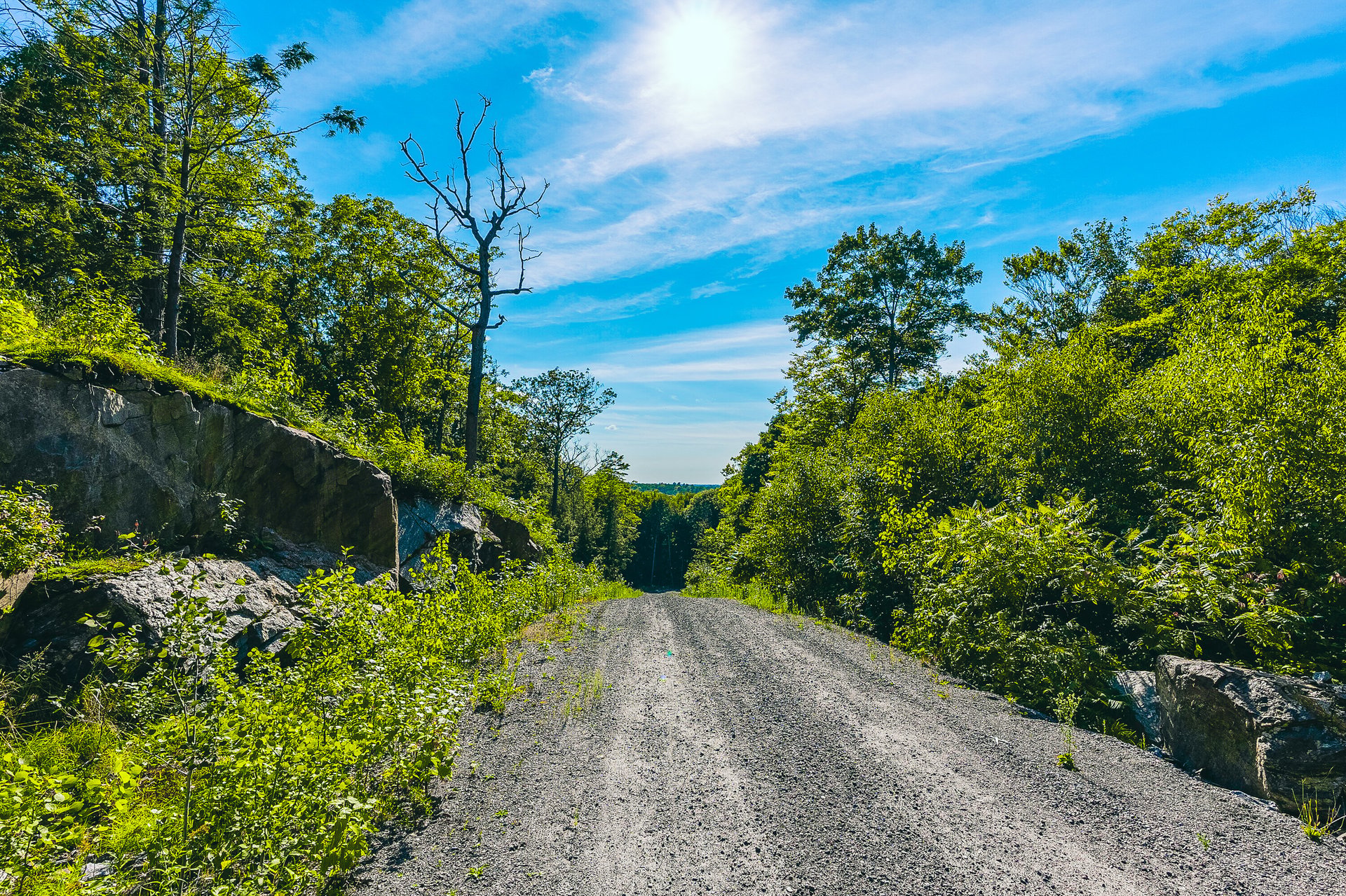 Purdy Road