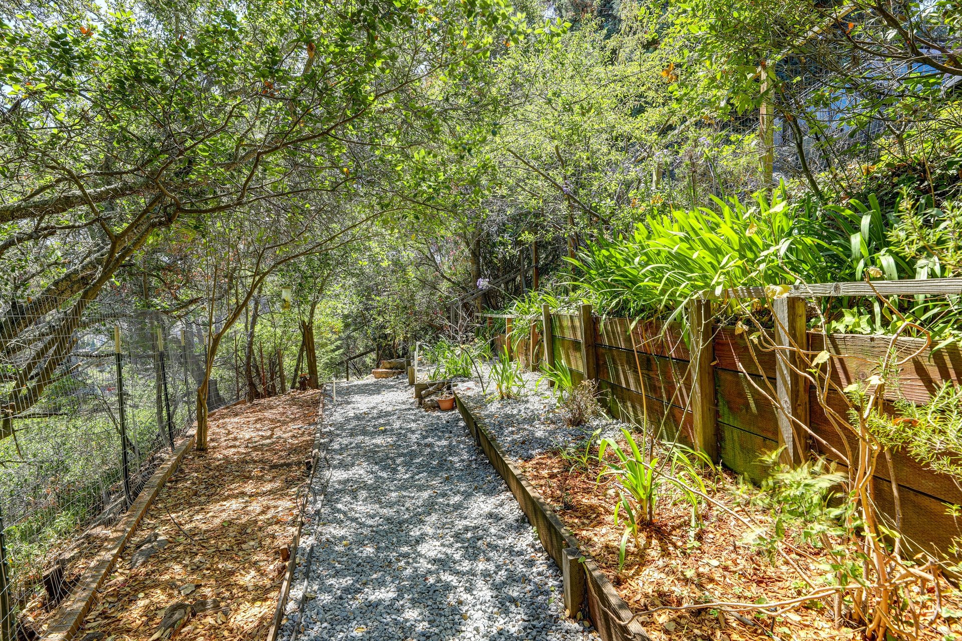 1121 Meadowsweet