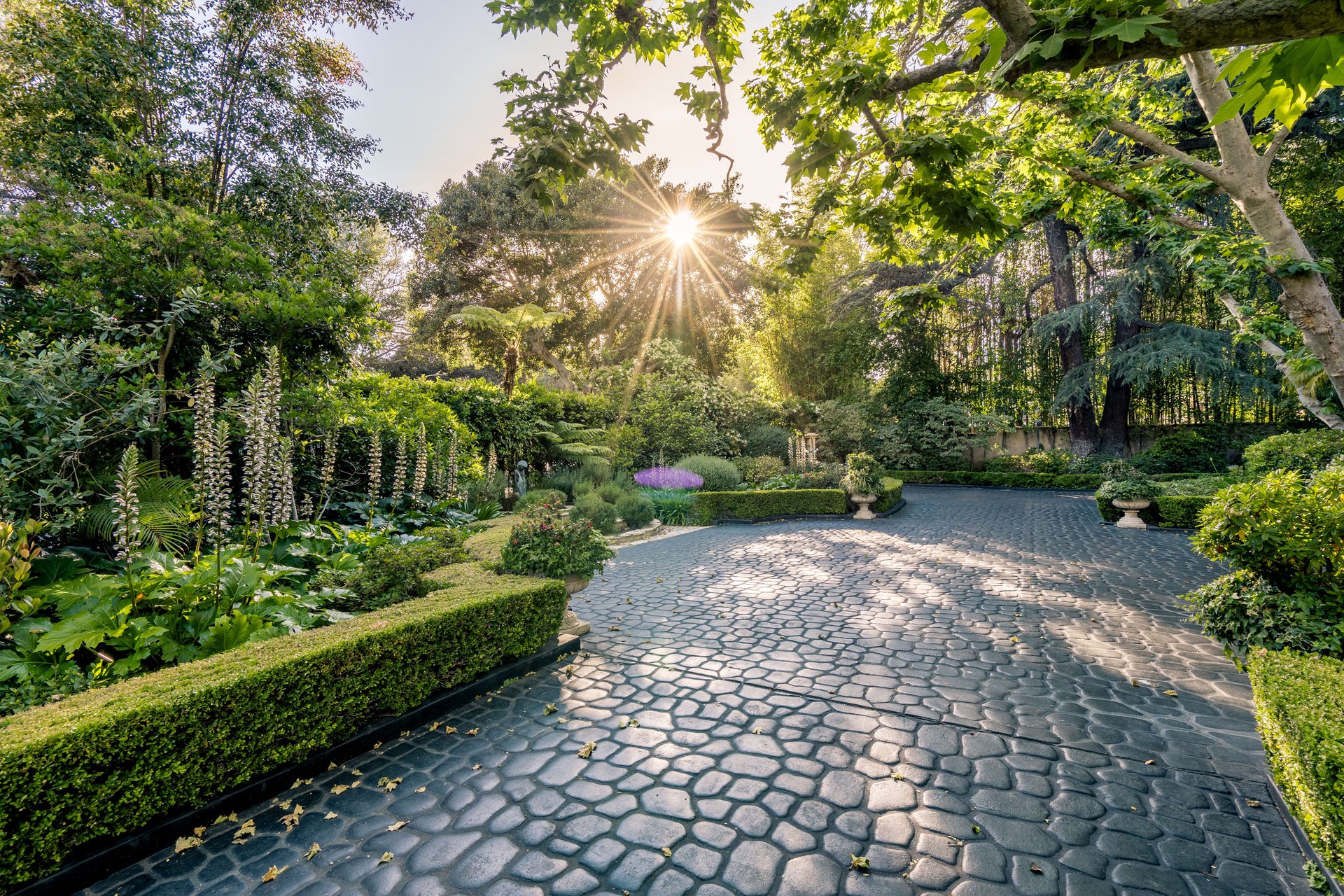 1005 Woodland Drive