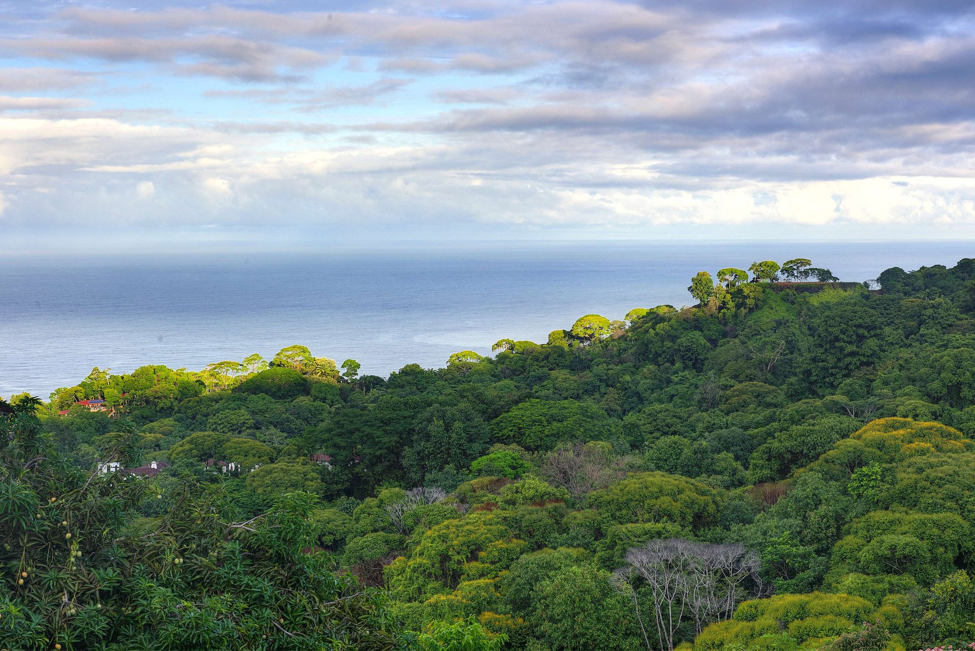 Casi Cielo - Almost Heaven - Ocean View Tropical Paradise