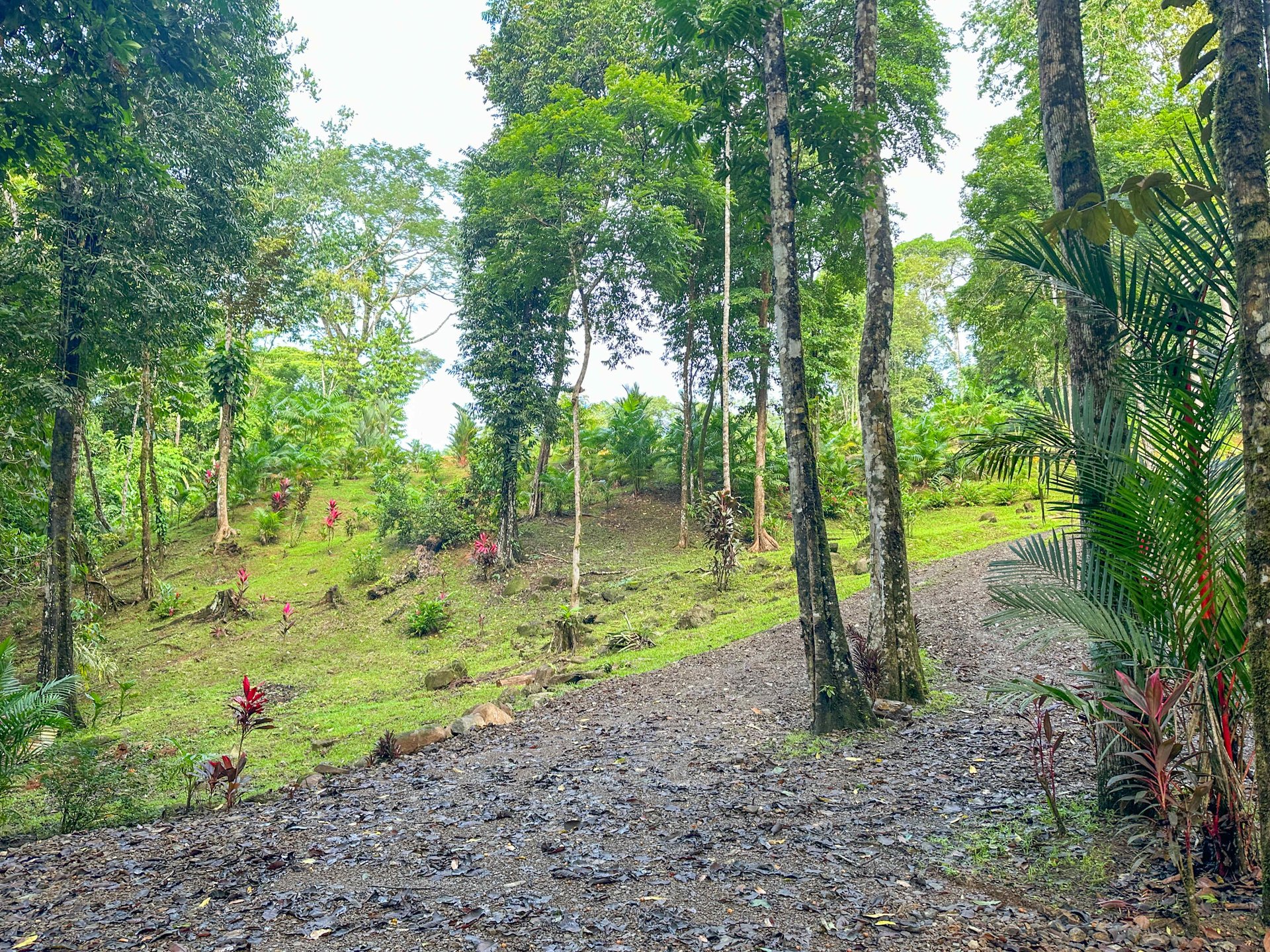 2-Bedroom Jungle Home with River, Waterfall & Pool on 3.8 Acres in Ojochal, Costa Rica