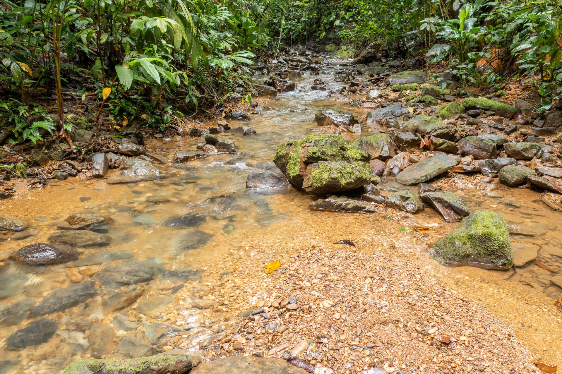 Mountain land with ocean view of Manuel Antonio/Quepos Quepos Puntarenas