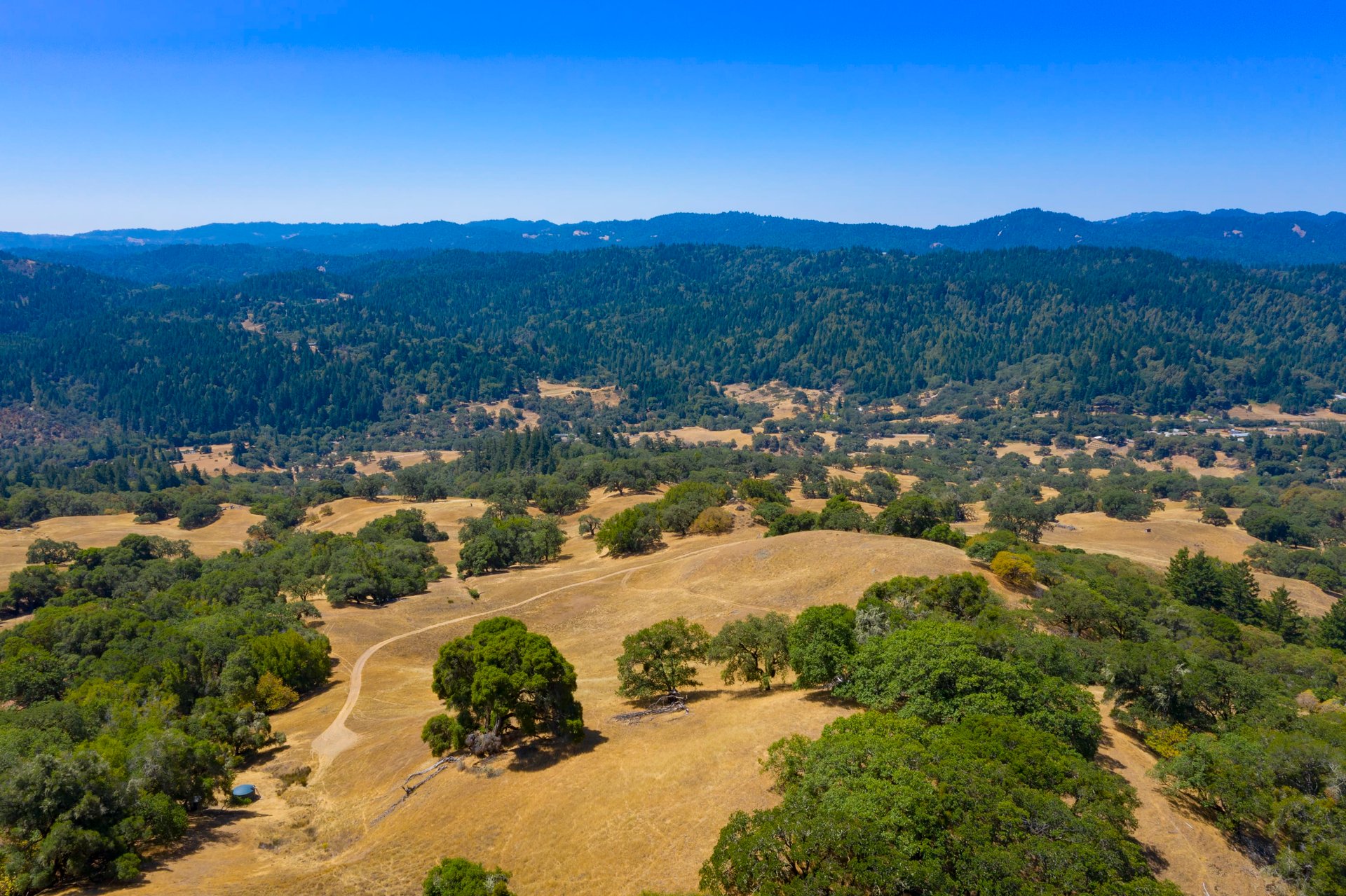Modern Anderson Valley Enclave