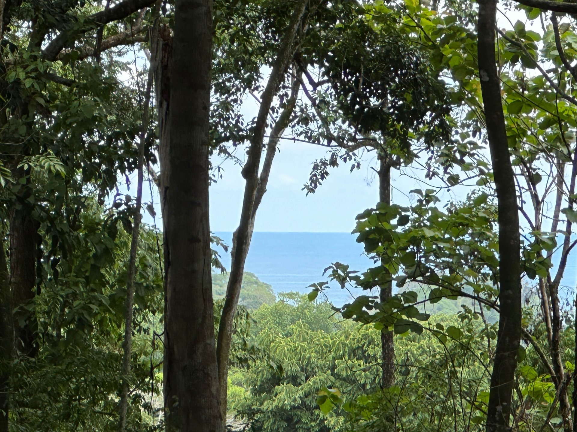 Tranquil Oasis: 8.8 Acres of Pristine Paradise in Dominicalito, Costa Rica