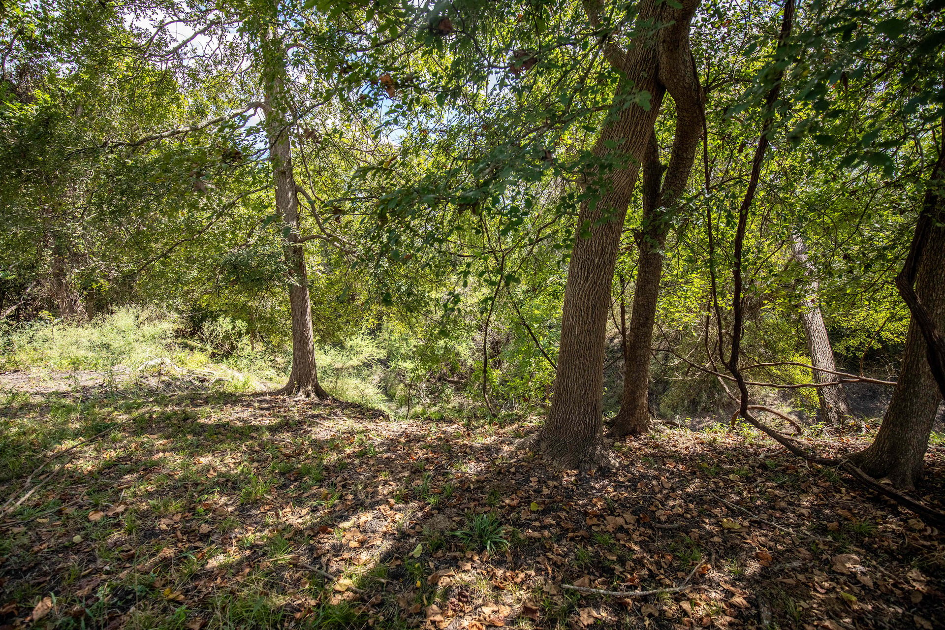Lovers Lane River Ranch | 140± Acres | DeWitt County