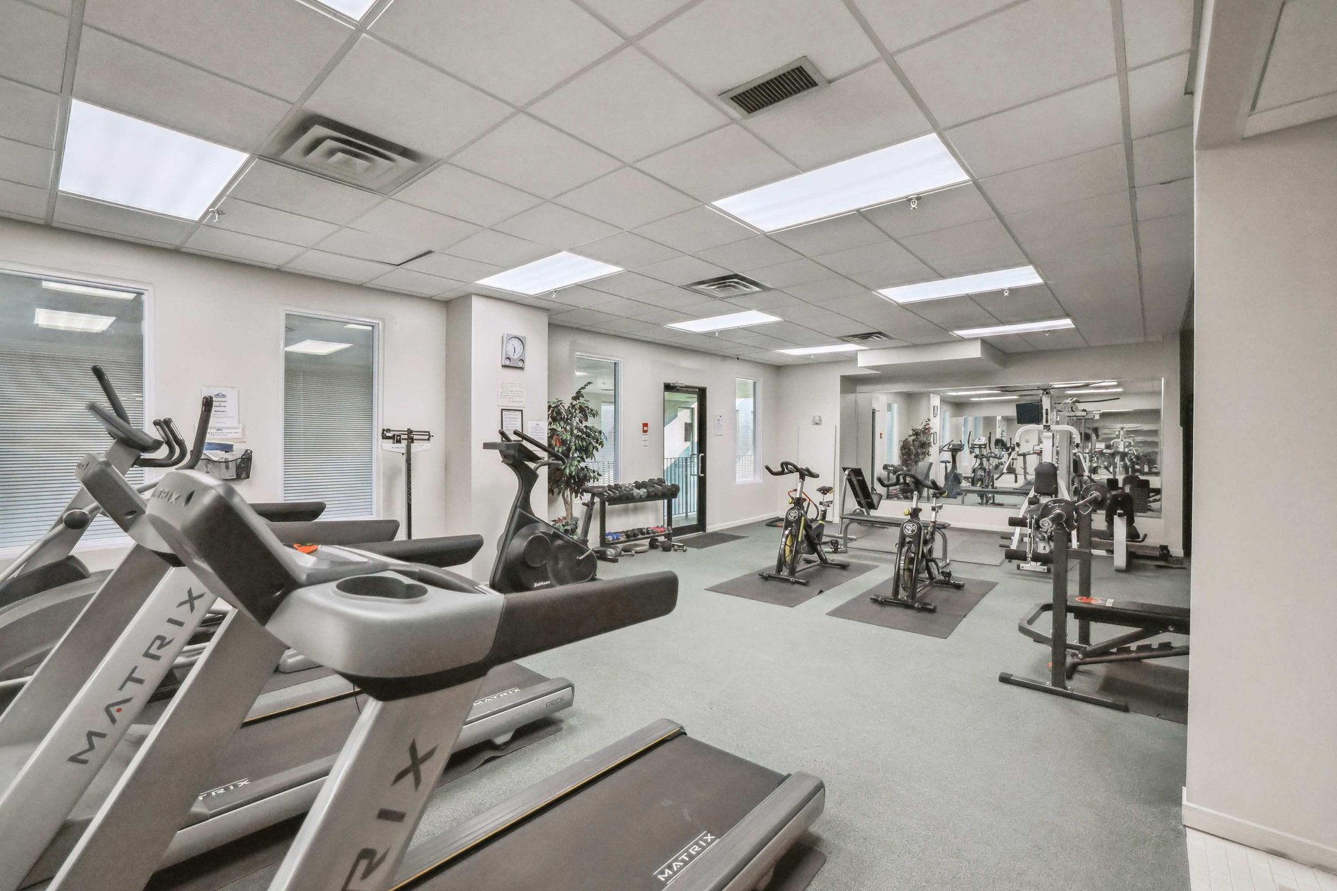 Fully Renovated Condo For Lease in Downtown Burlington