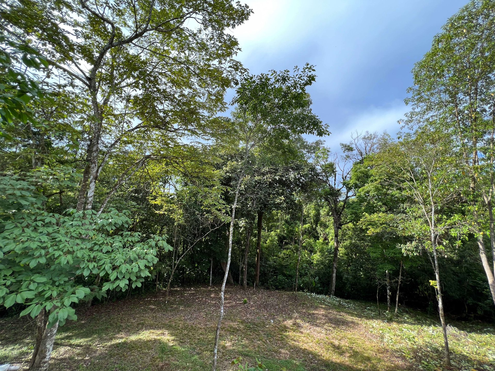  Affordable & Charming 1 bedroom Villa with Pool in gated community, immersed in the rainforest close to Quepos  