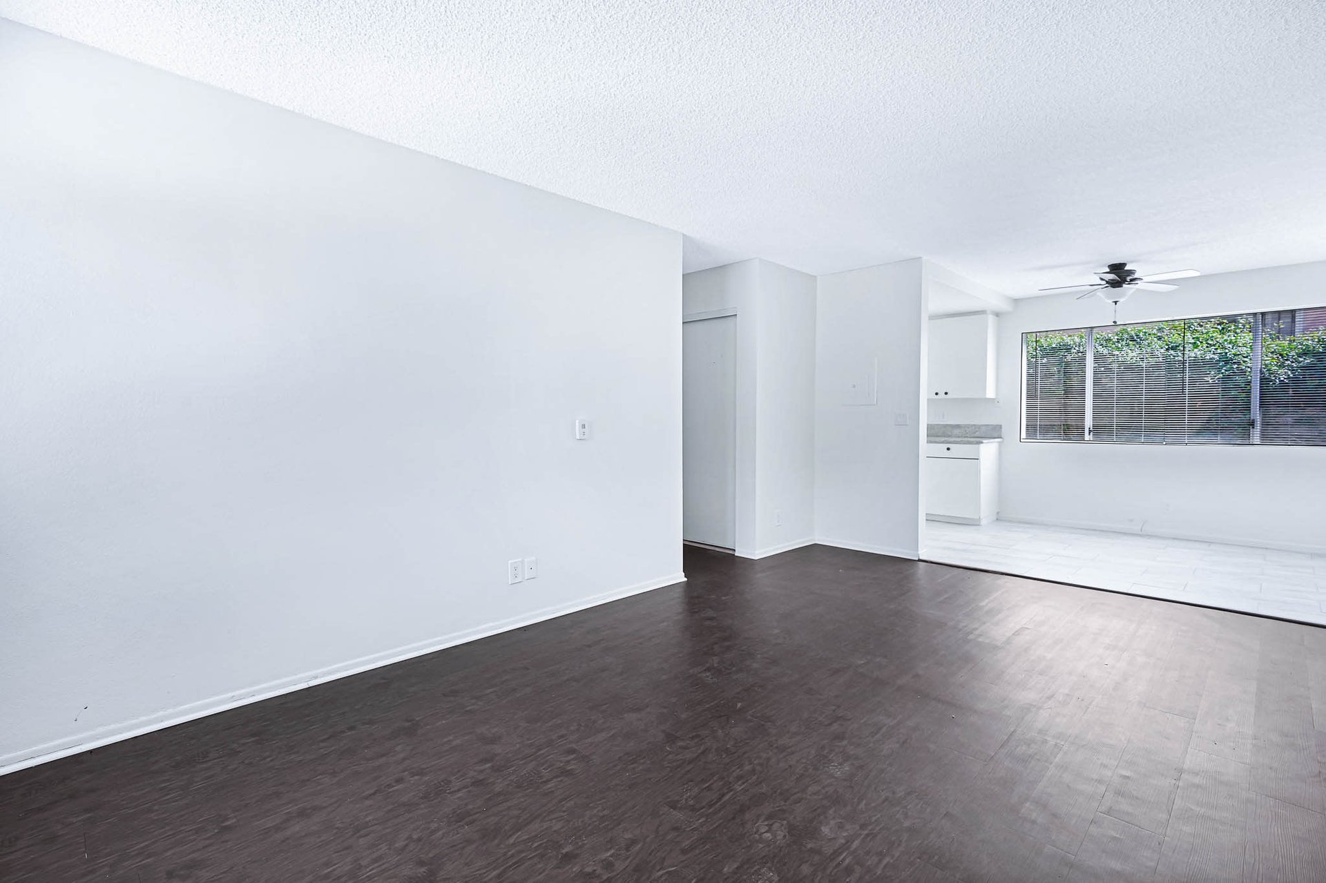 Incredible Triplex Apartment Opportunity near USC. Great Cash Flow. Vacant Lot in Rear for future Development!