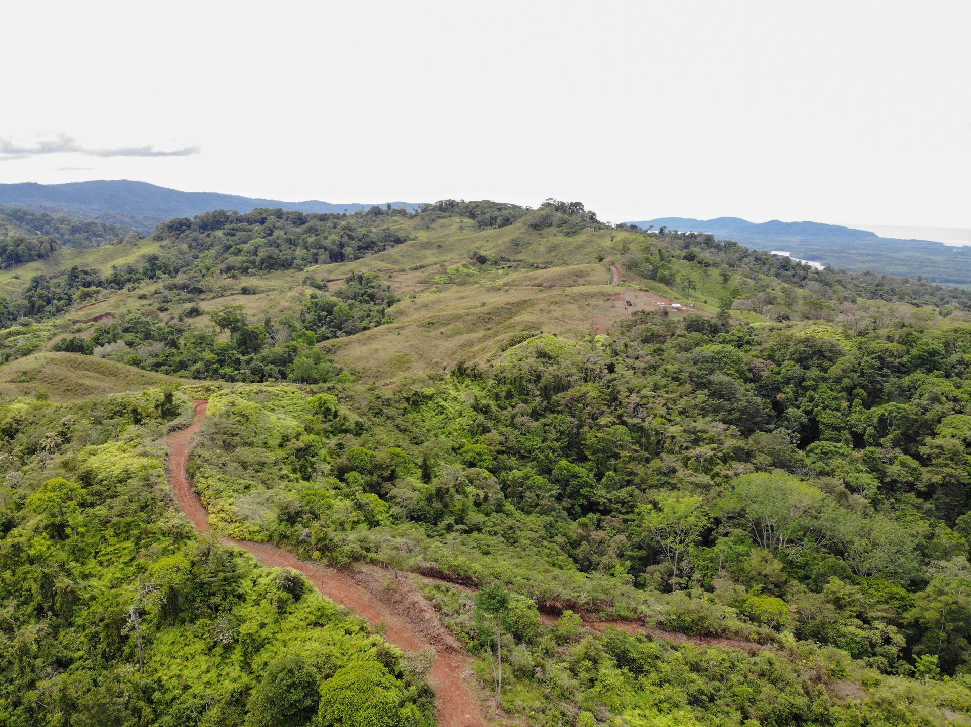 Sierpe Sunset and Jungle Views, 10 Acre Property, OSA!