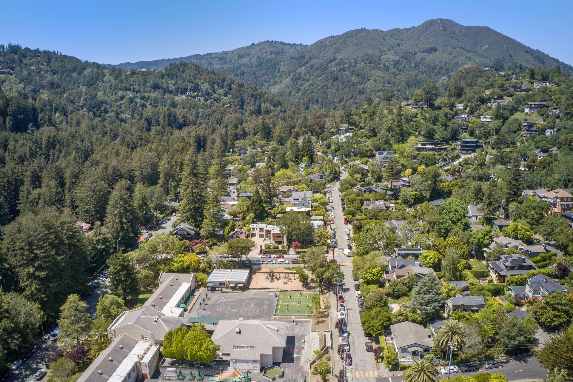 Downtown Mill Valley Contemporary Masterpiece