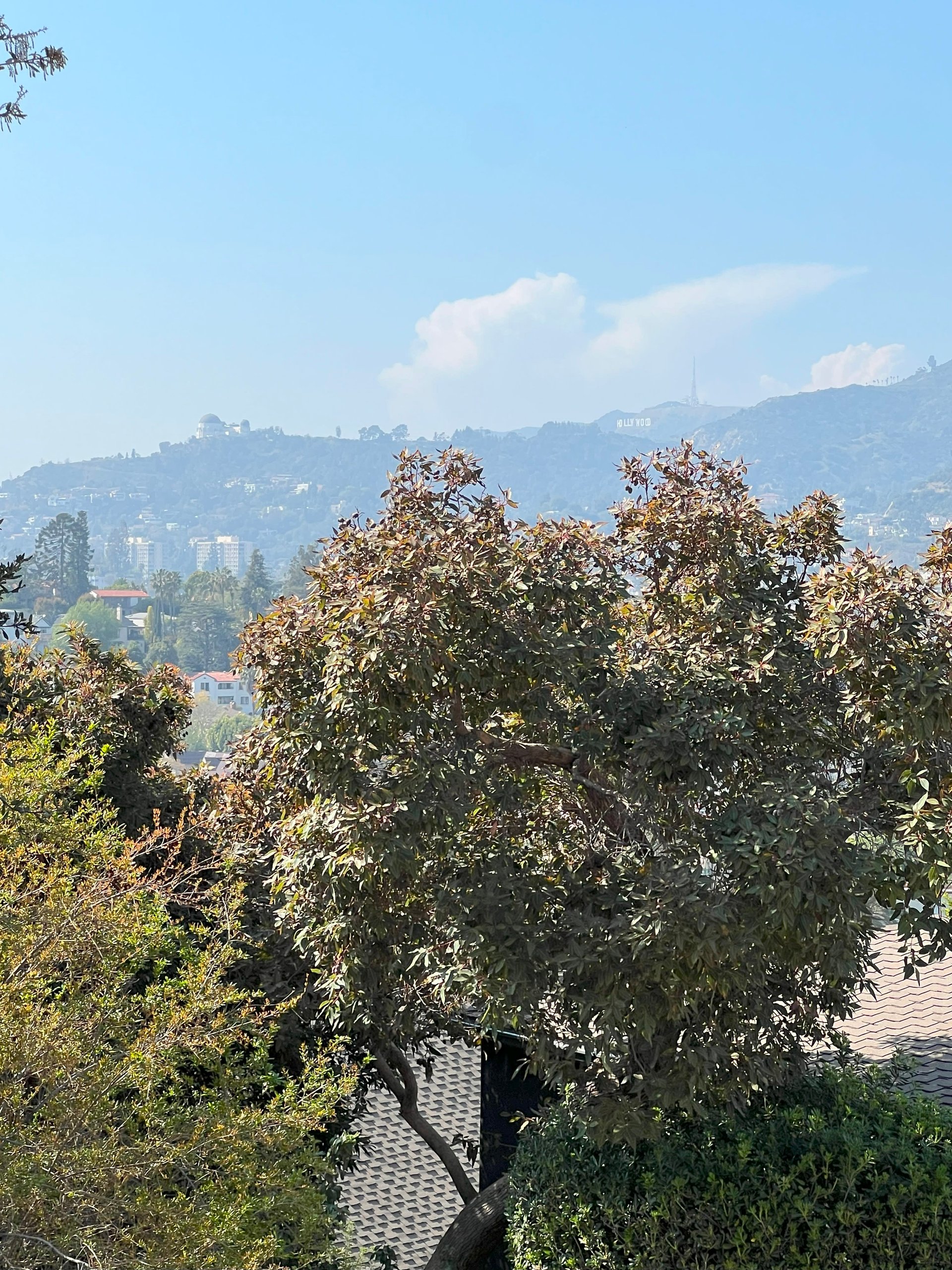 Silverlake Mediterranean
