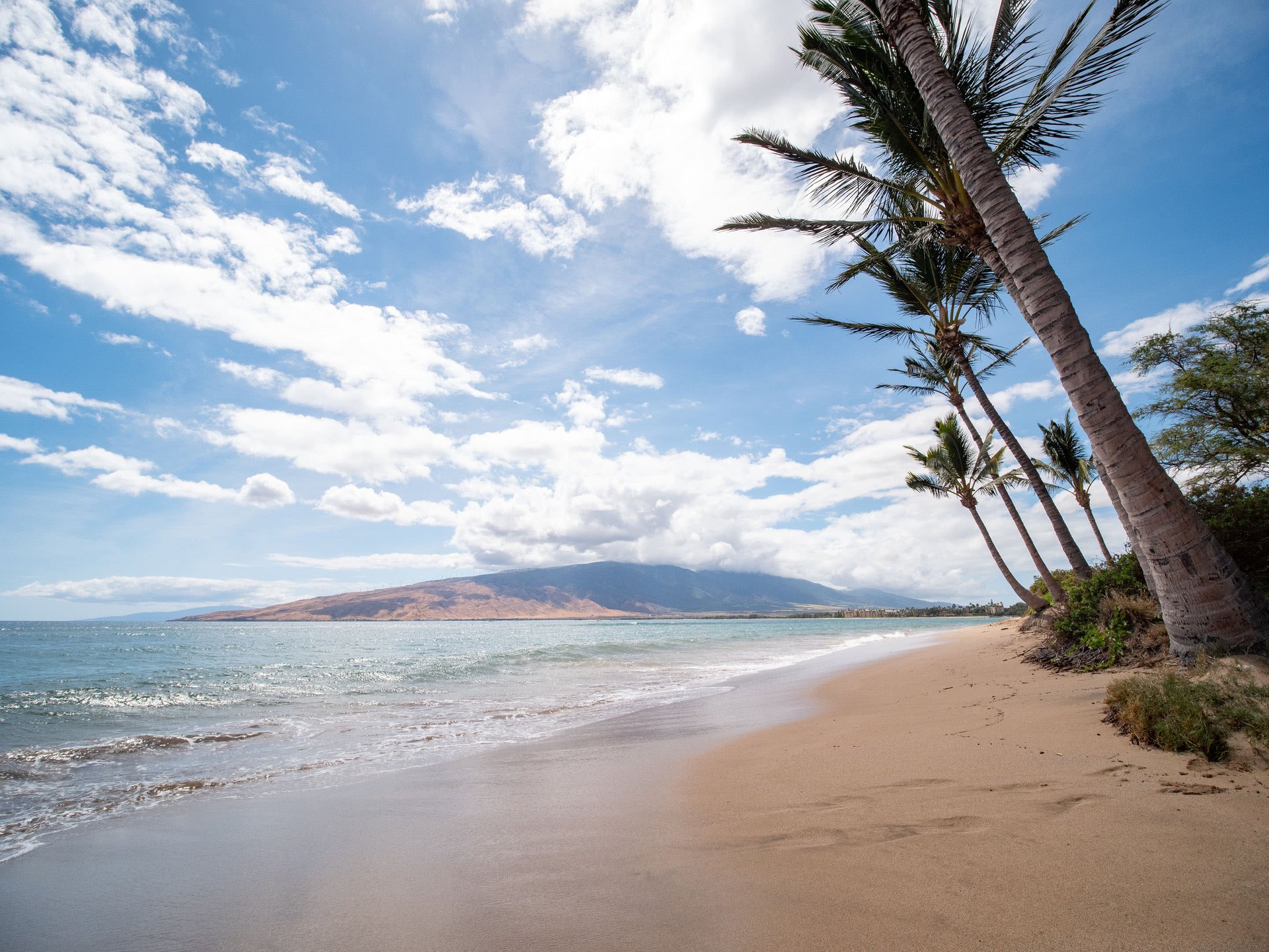 38 Kai Makani  #Q102
