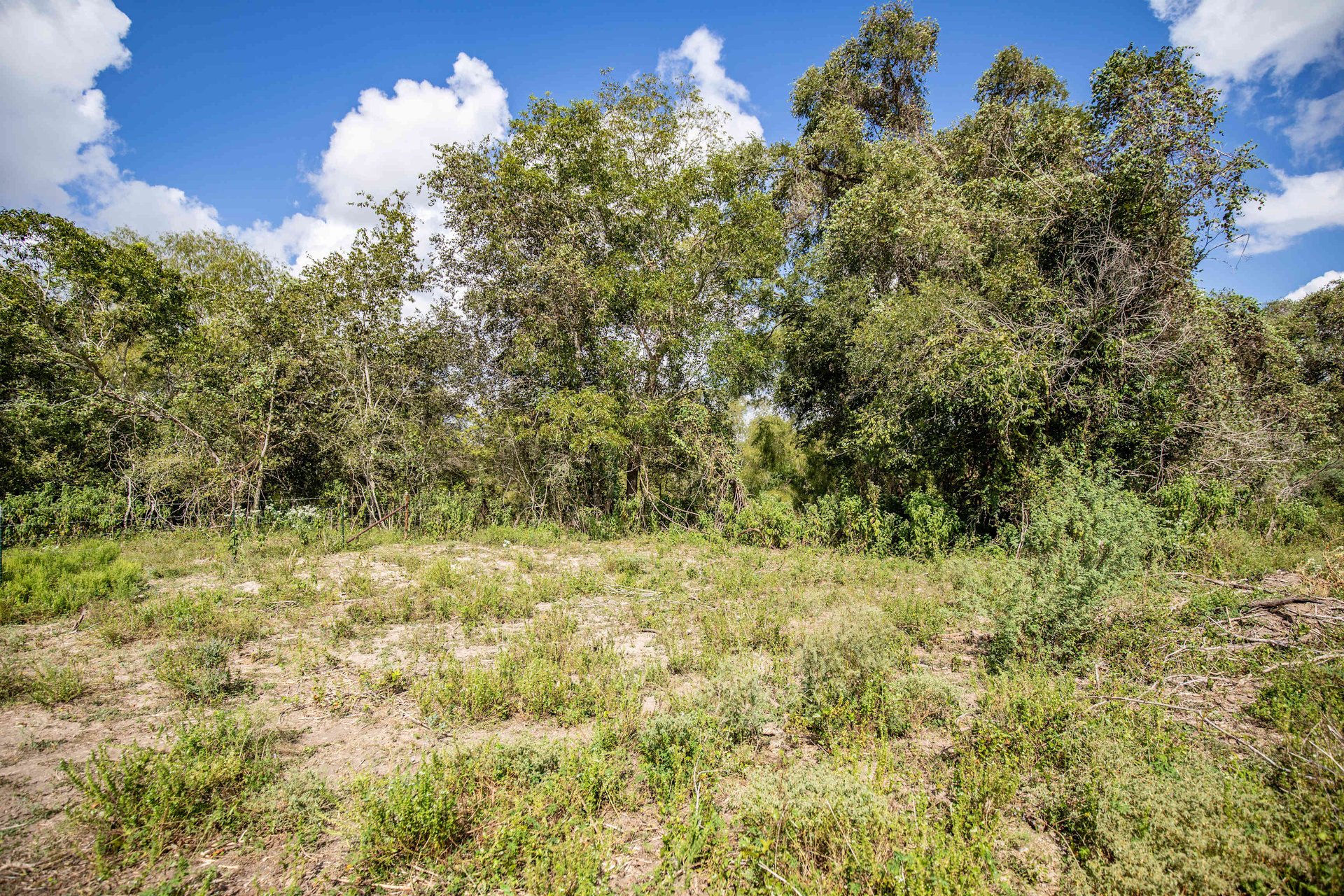 Lovers Lane River Ranch | 140± Acres | DeWitt County