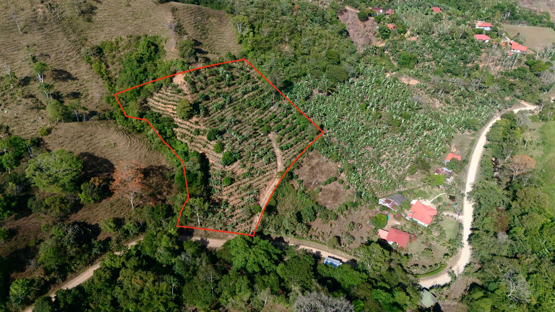 Over 2.5 Acres in Ceibo, Planted with Coffee and Fruits