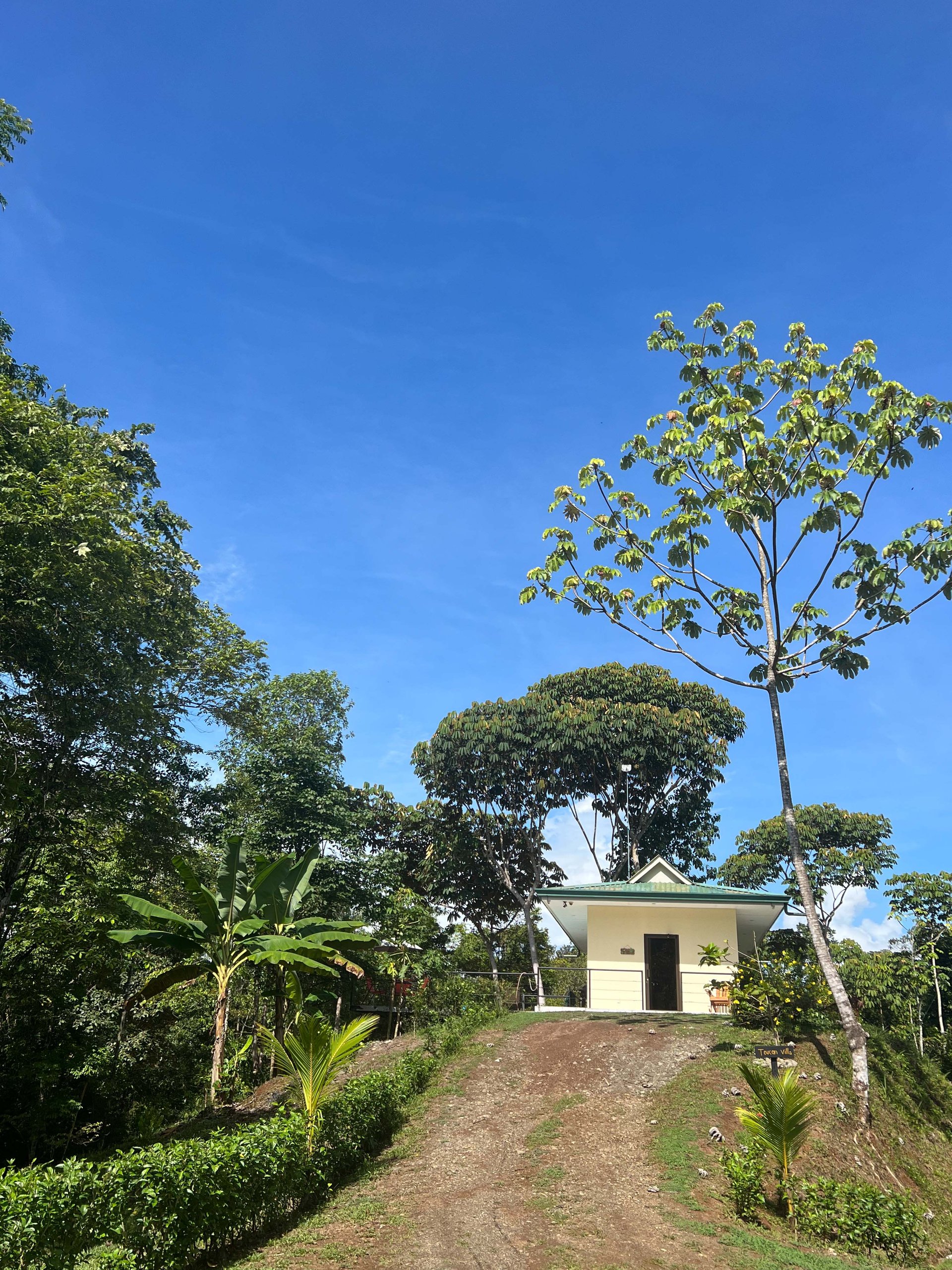  Affordable & Charming 1 bedroom Villa with Pool in gated community, immersed in the rainforest close to Quepos  