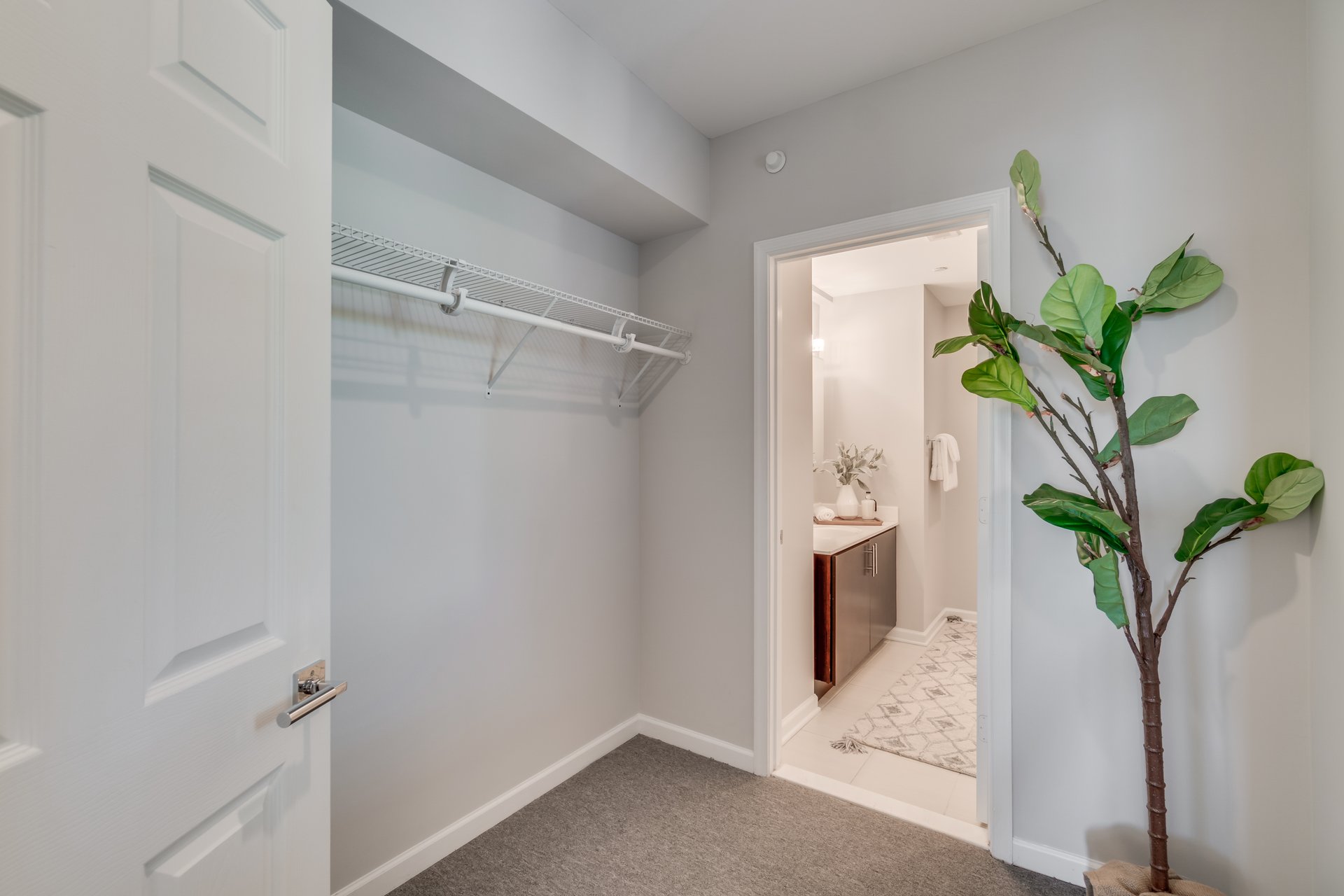 329 Rhode Island Ave NE #301