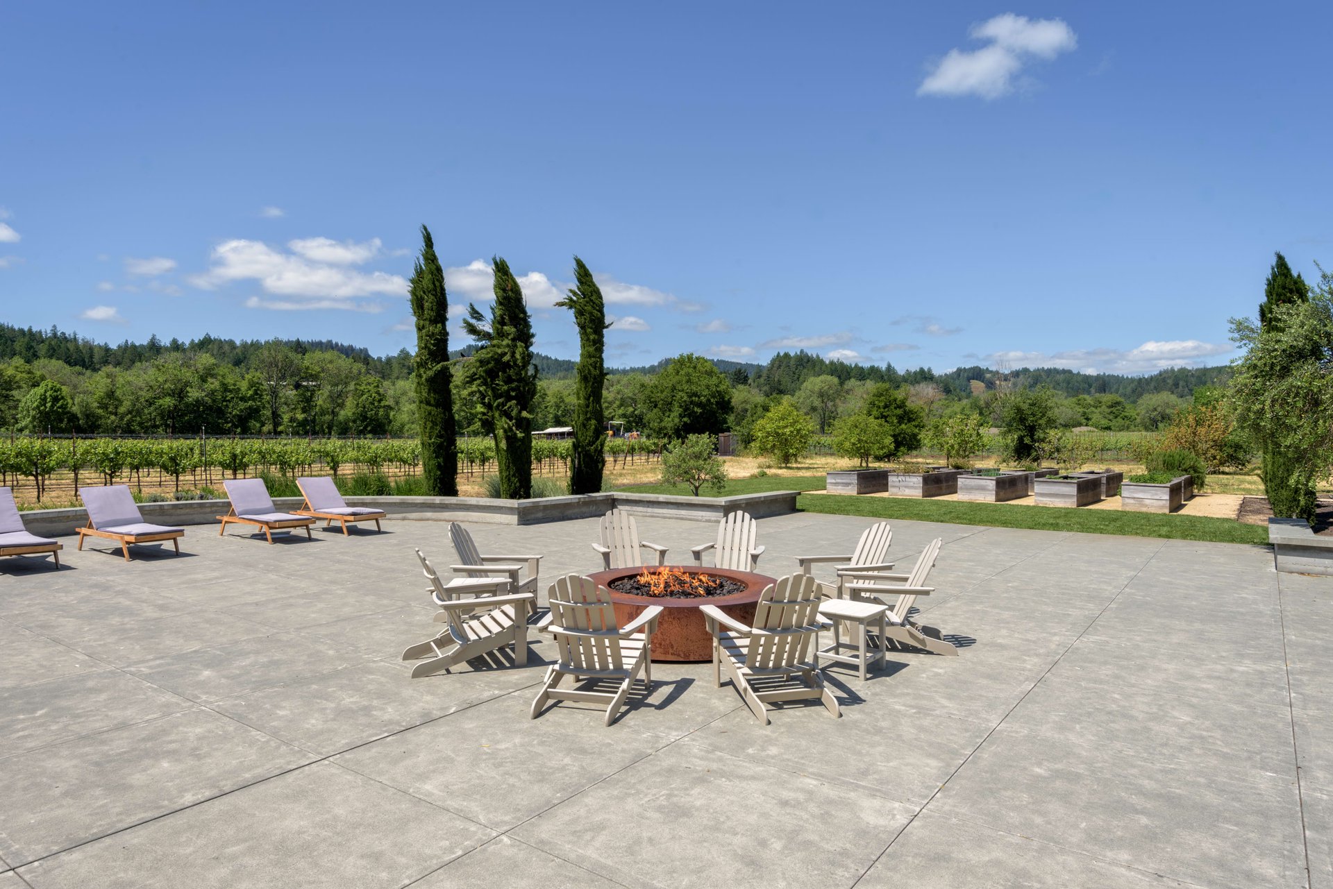 Dry Creek Valley -Production Facility, Tasting Room, & Guest Estate Residence 