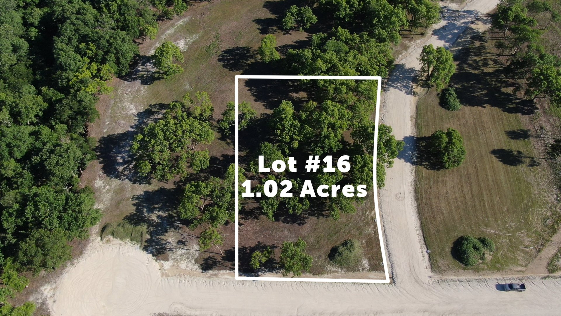 Lot 16