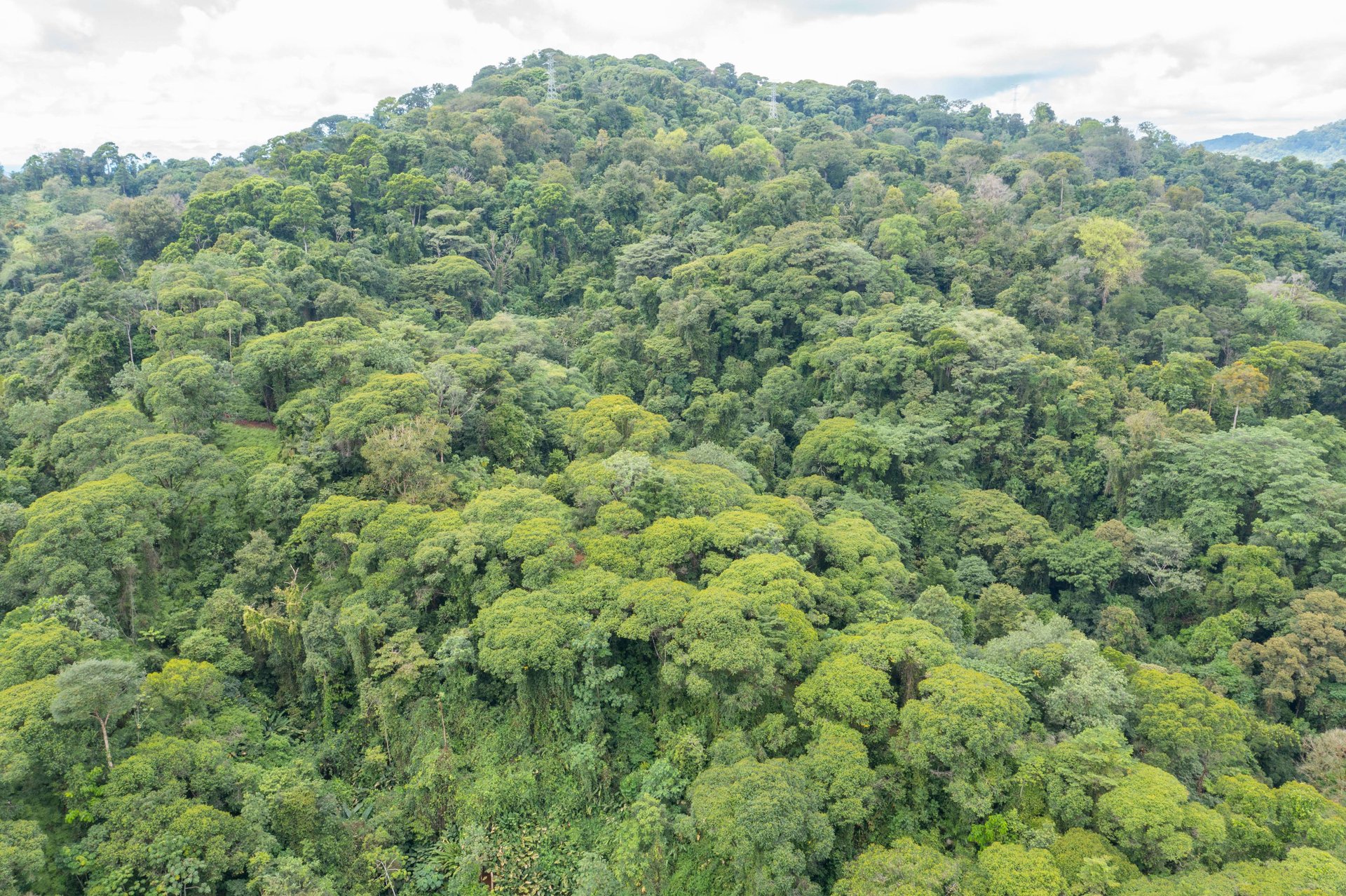 Mountain land with ocean view of Manuel Antonio/Quepos Quepos Puntarenas