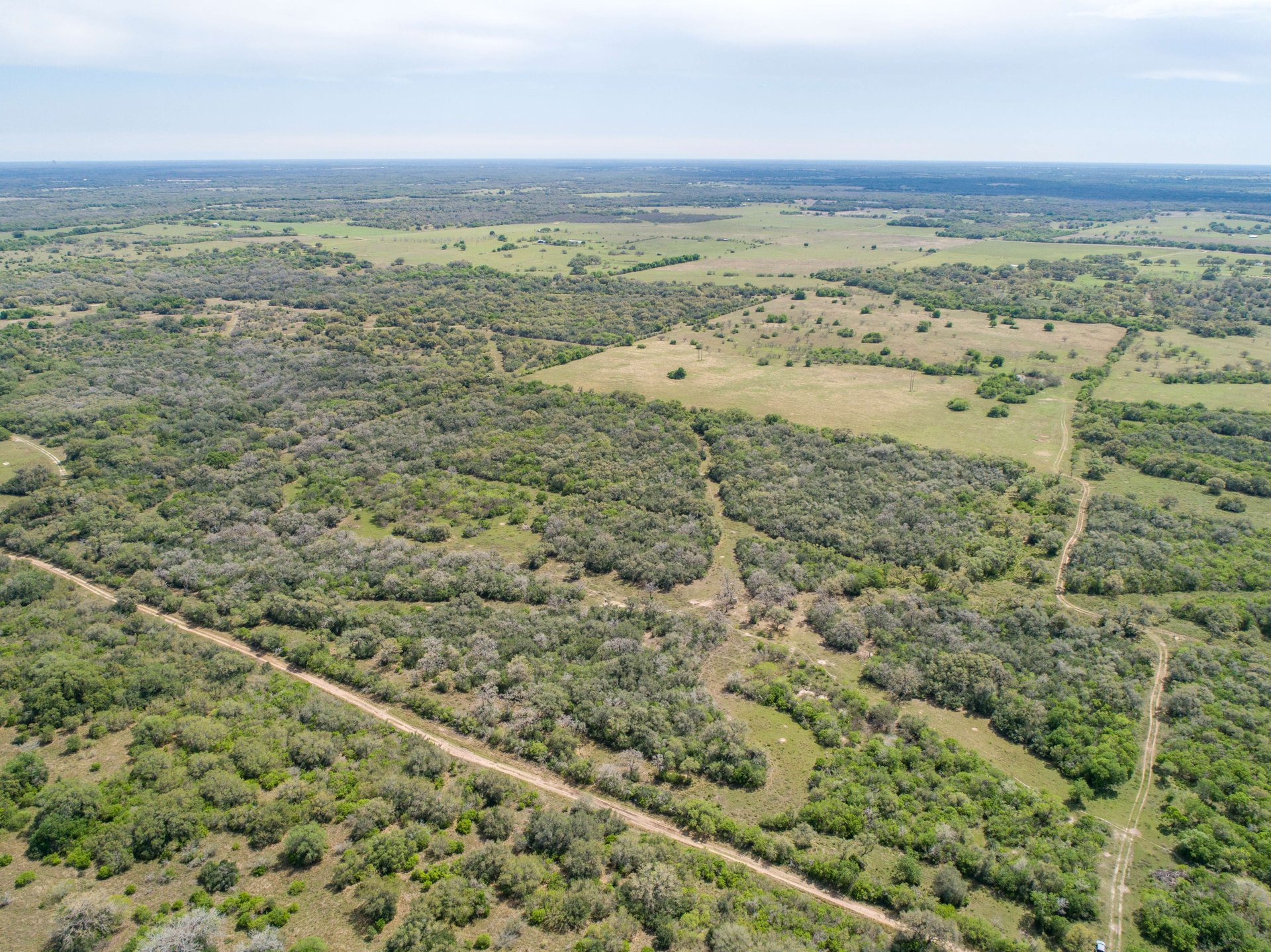 Weesatche 110 Acres