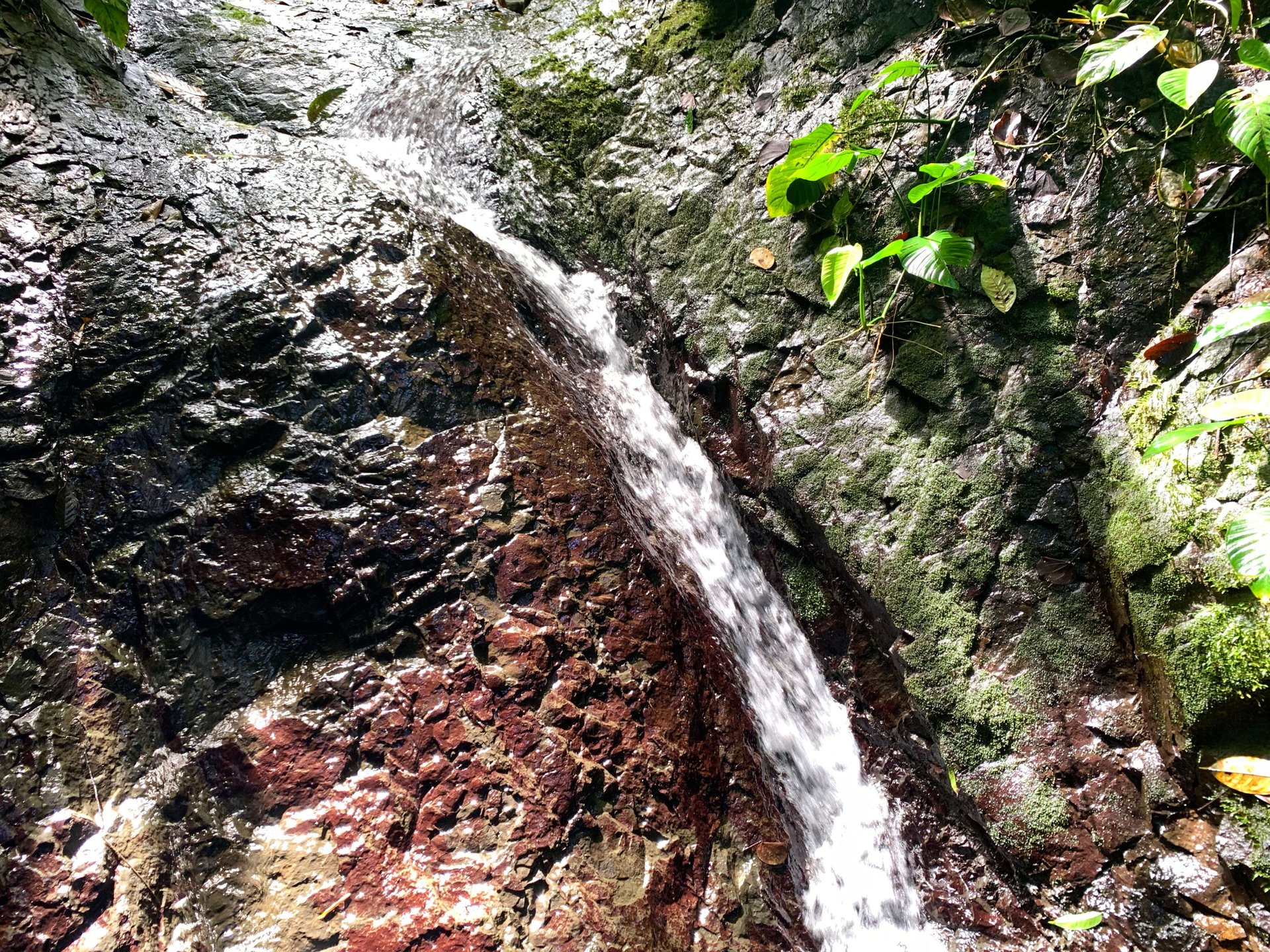 Mountain land with ocean view of Manuel Antonio/Quepos Quepos Puntarenas
